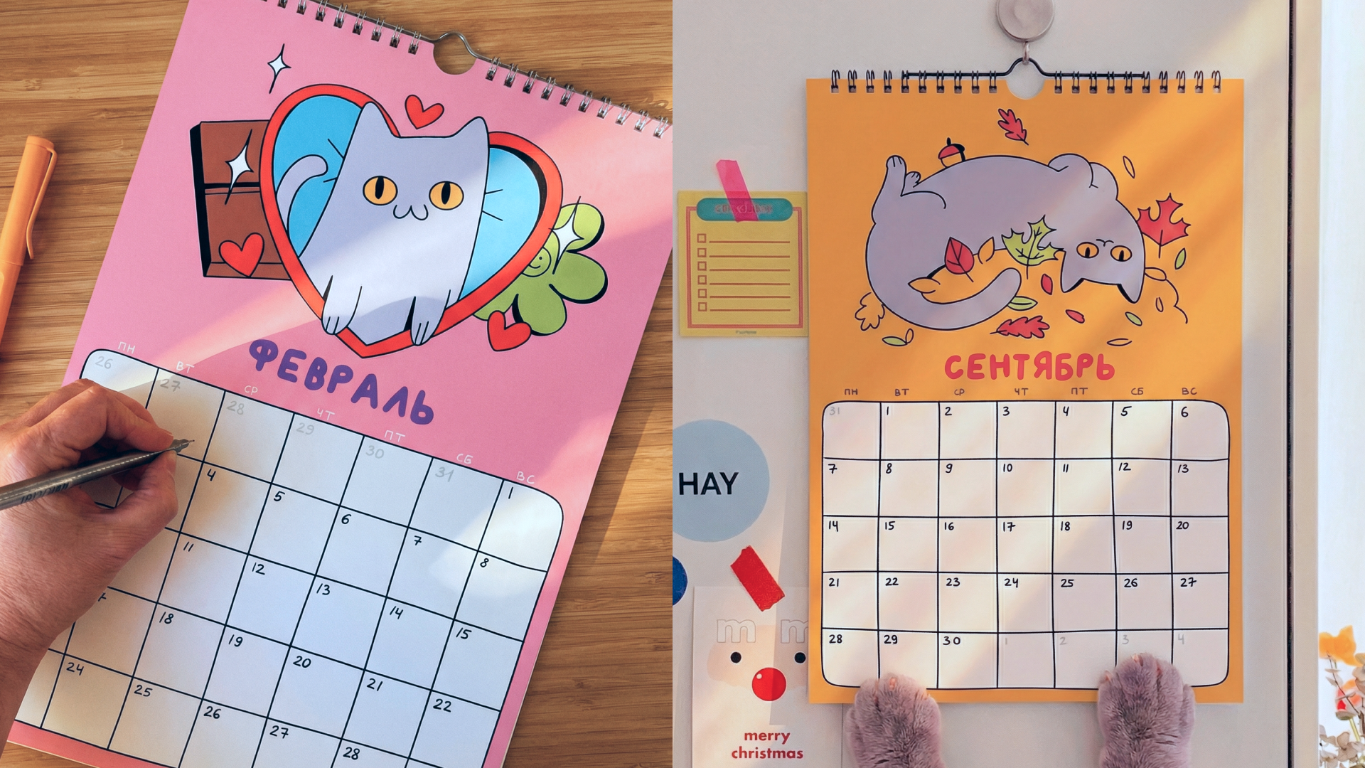 Календарь на 2026 год с иллюстрациями британской кошки — Изображение №5 — Брендинг, Иллюстрация на Dprofile