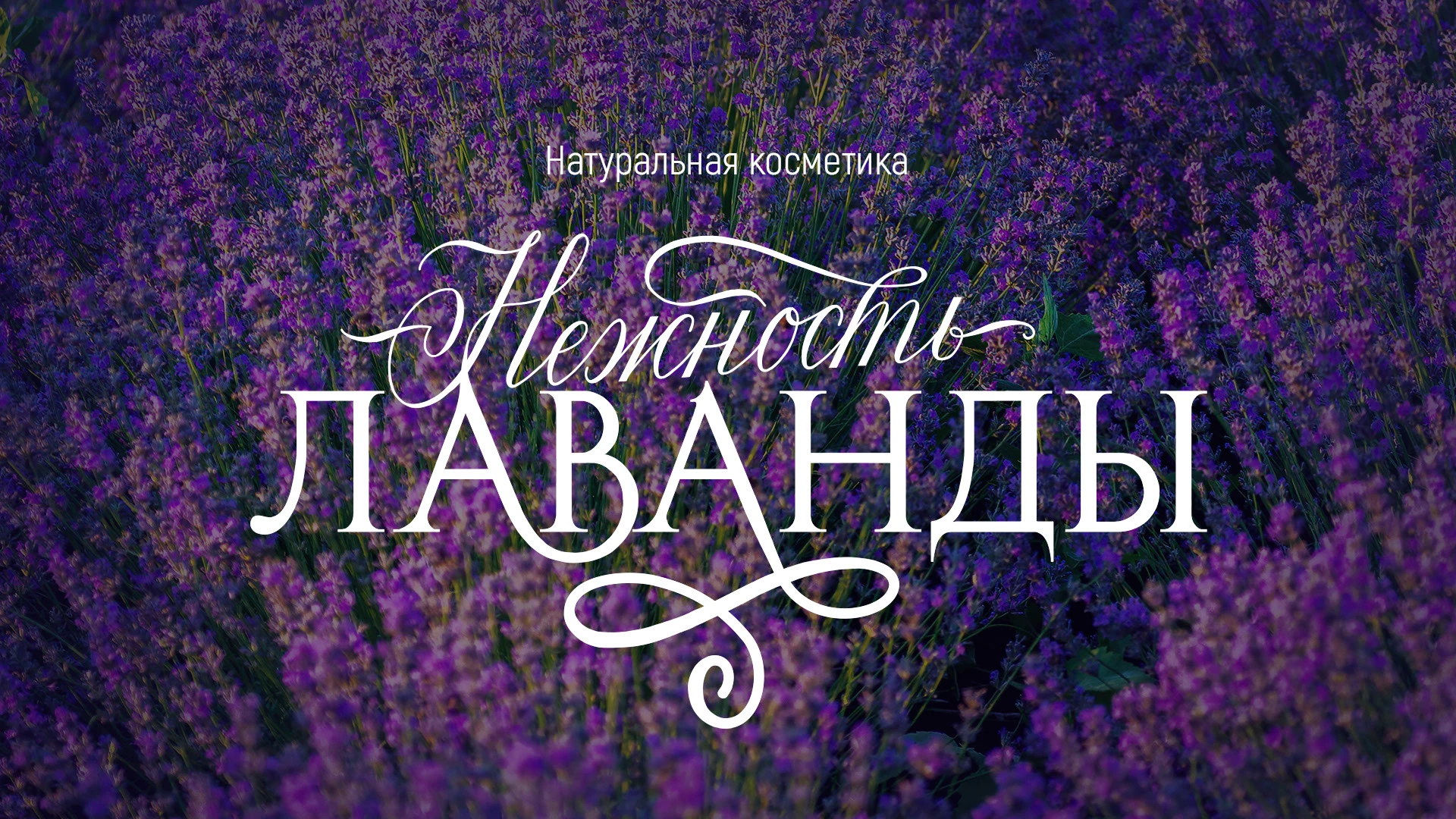 Леттеринг | Лого | Принт | Нежность Лаванда — Изображение №1 — Брендинг, Графика на Dprofile