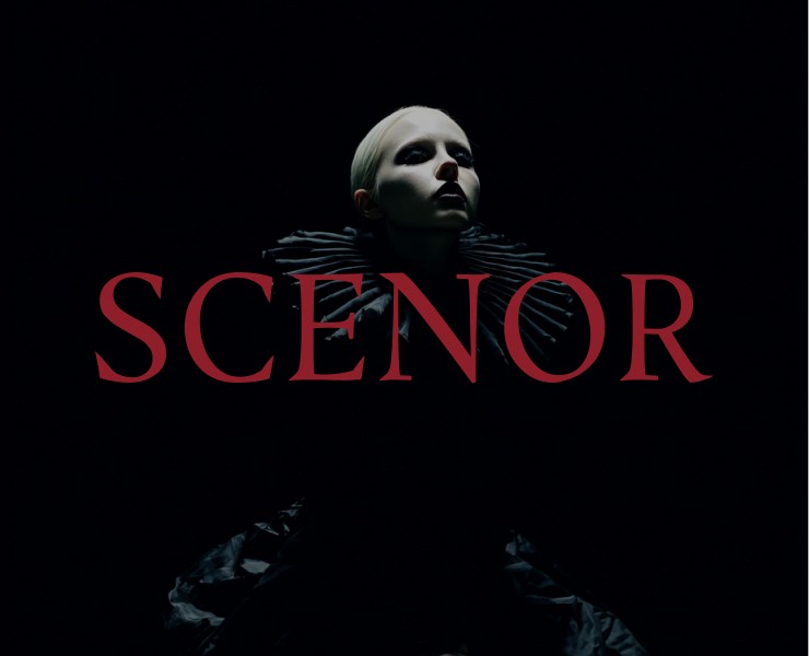 SCENOR | цирк-театр нового формата на Dprofile