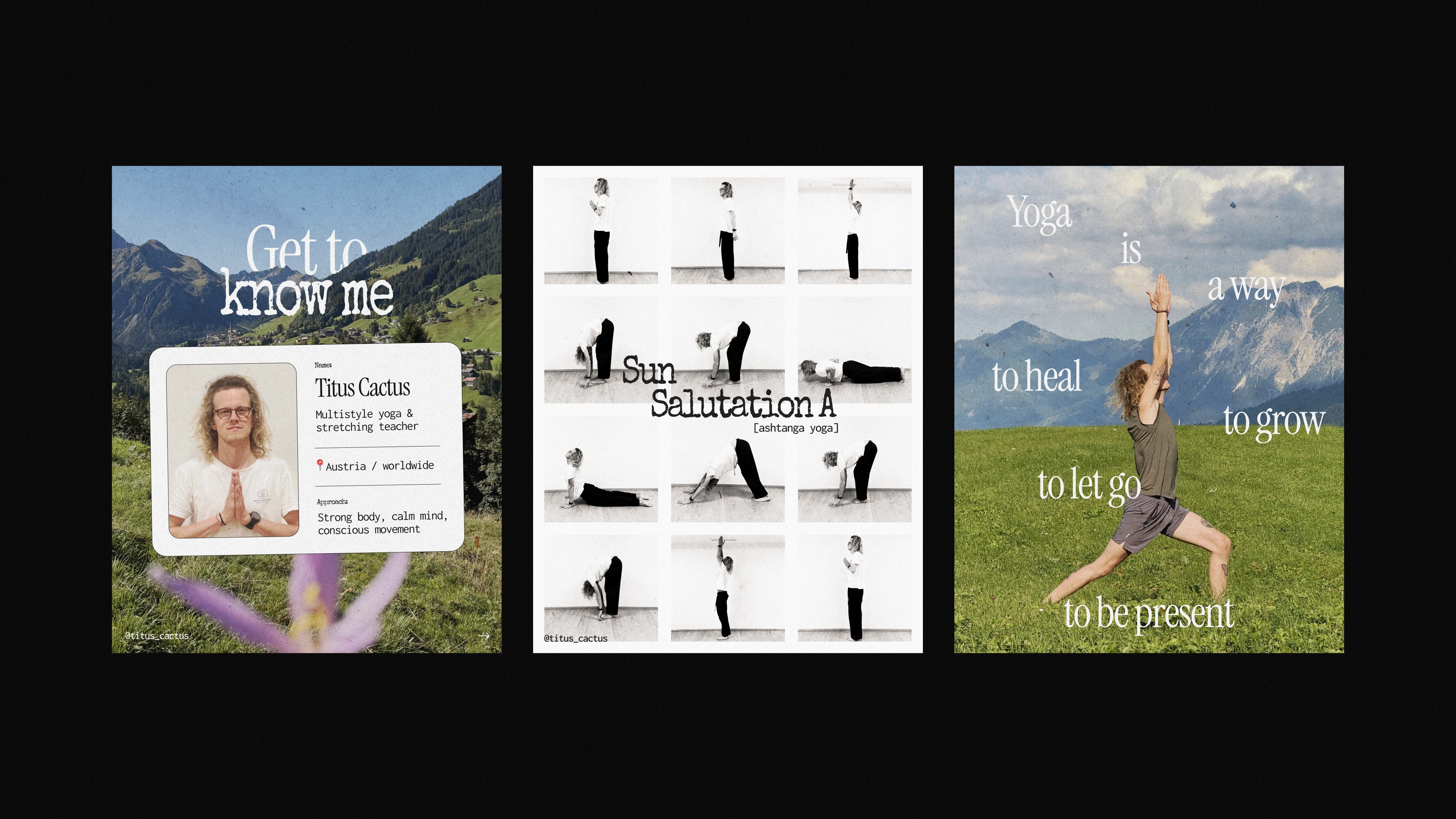 TITUS CACTUS YOGA | Brand identity & Web Design & Ai — Изображение №16 — Интерфейсы, Брендинг на Dprofile