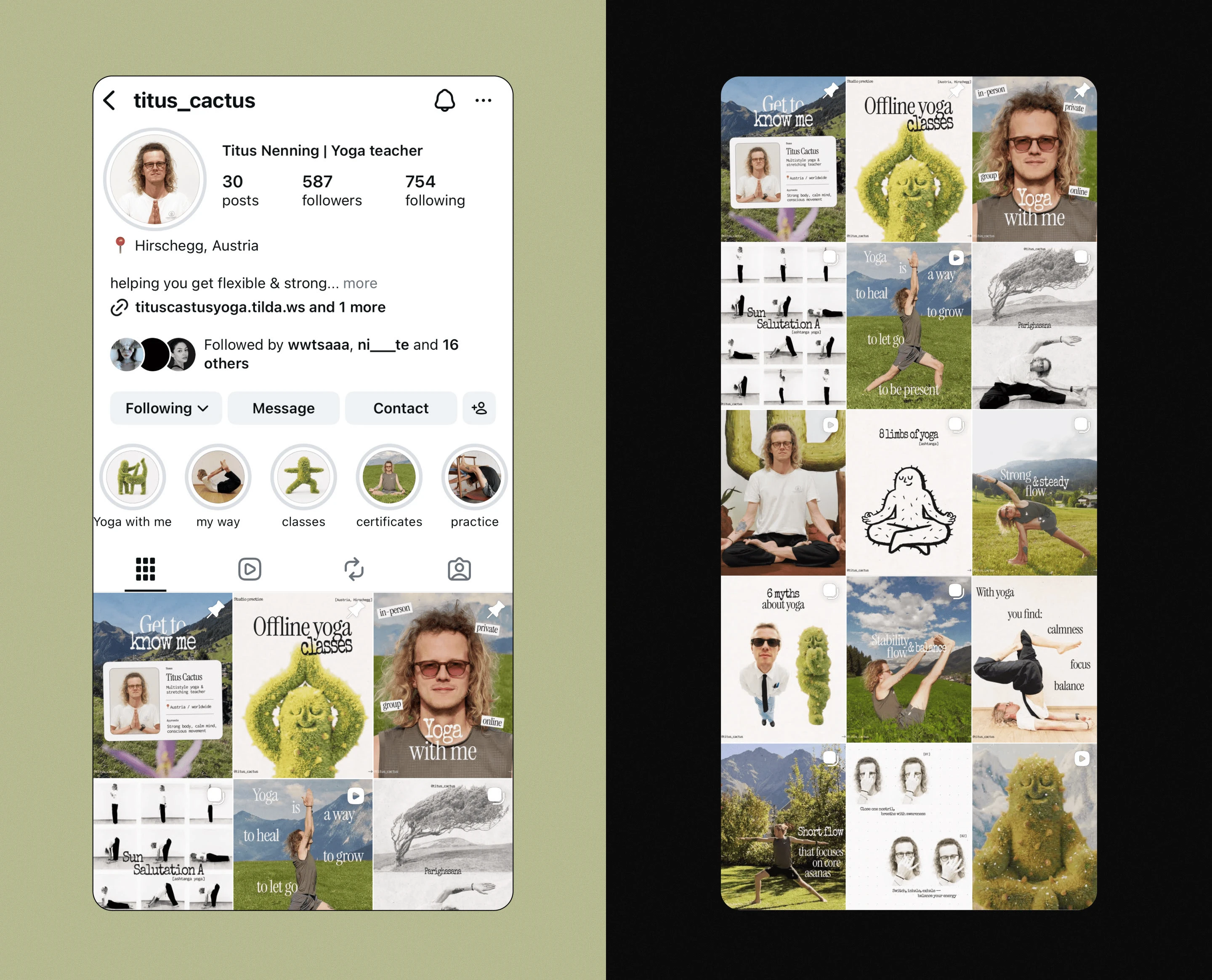 TITUS CACTUS YOGA | Brand identity & Web Design & Ai — Изображение №2 — Интерфейсы, Брендинг на Dprofile