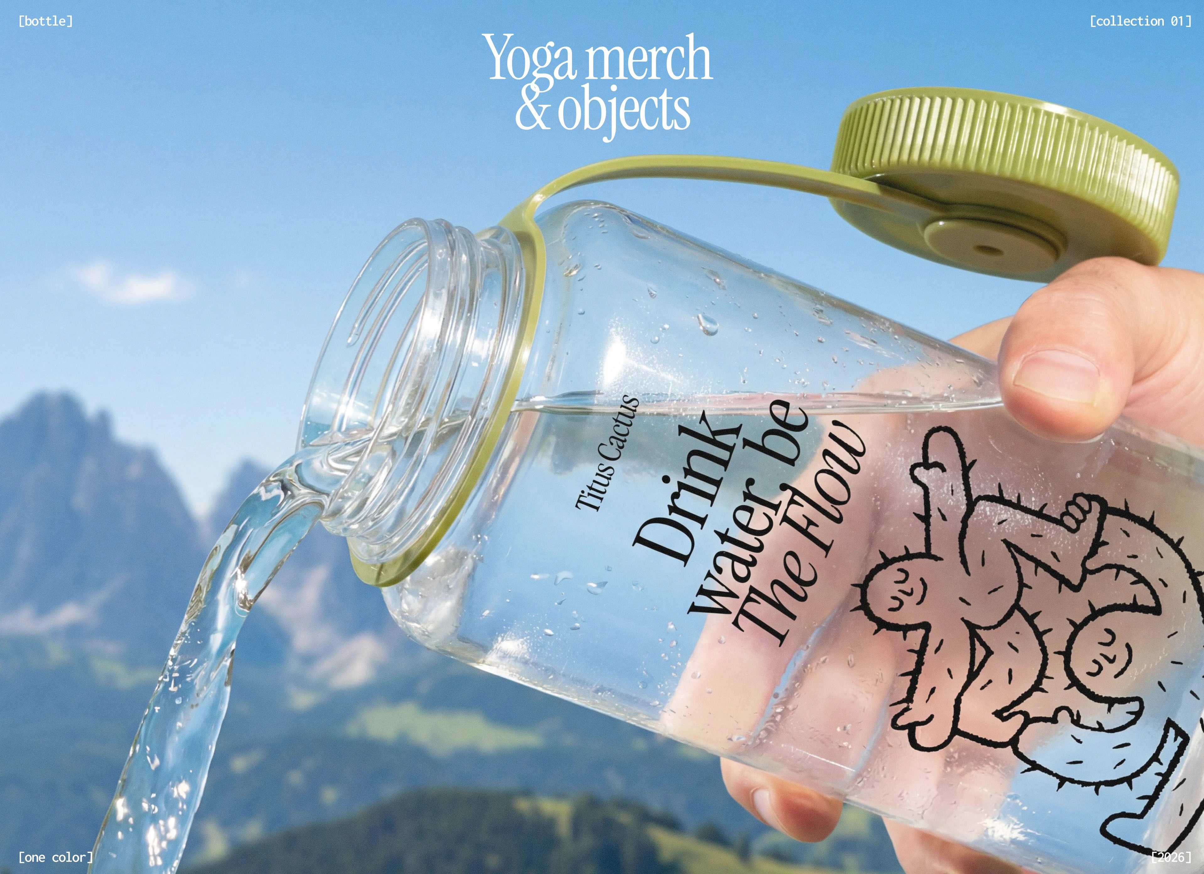 TITUS CACTUS YOGA | Brand identity & Web Design & Ai — Изображение №3 — Интерфейсы, Брендинг на Dprofile