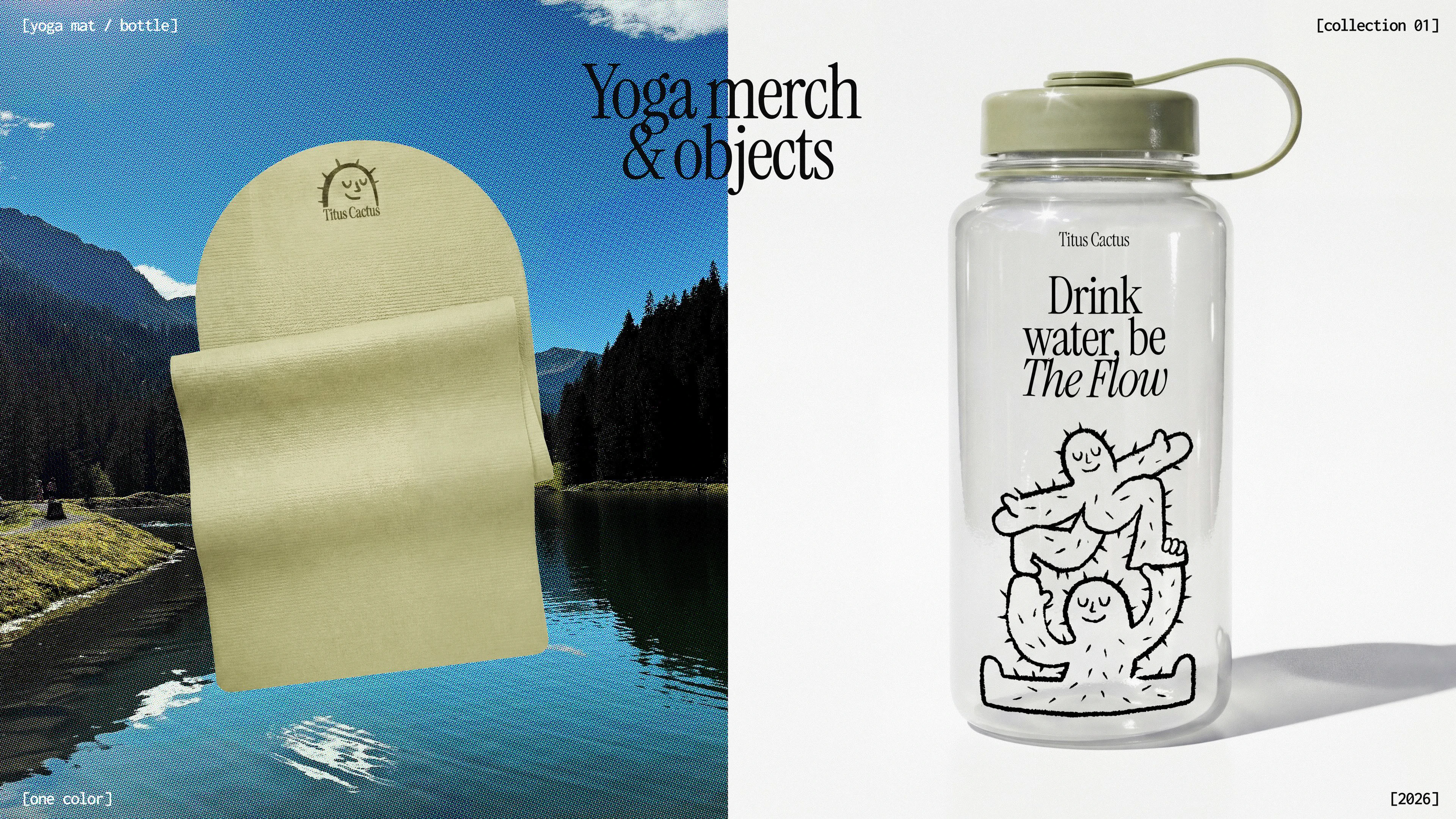 TITUS CACTUS YOGA | Brand identity & Web Design & Ai — Изображение №15 — Интерфейсы, Брендинг на Dprofile