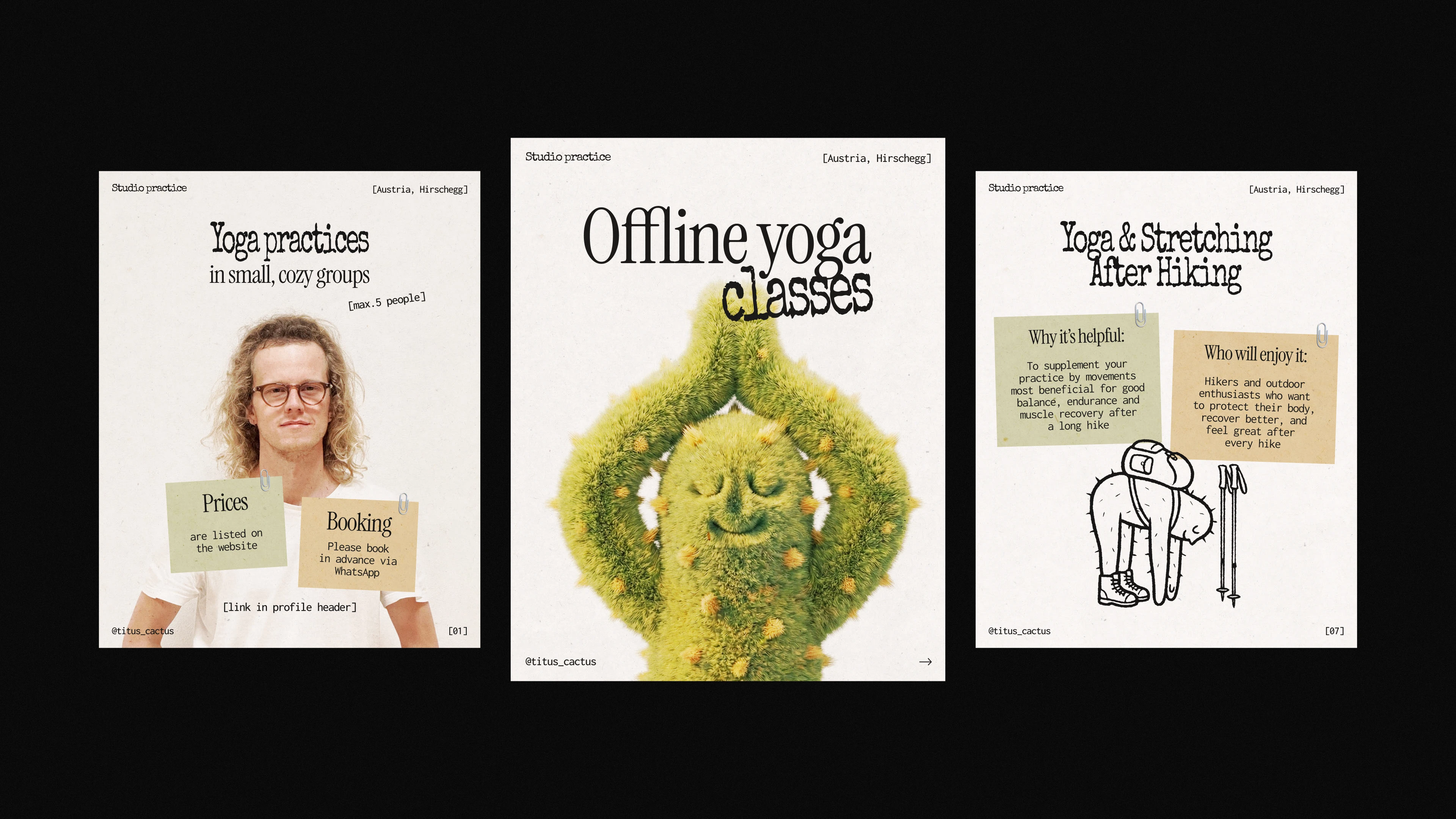 TITUS CACTUS YOGA | Brand identity & Web Design & Ai — Изображение №6 — Интерфейсы, Брендинг на Dprofile