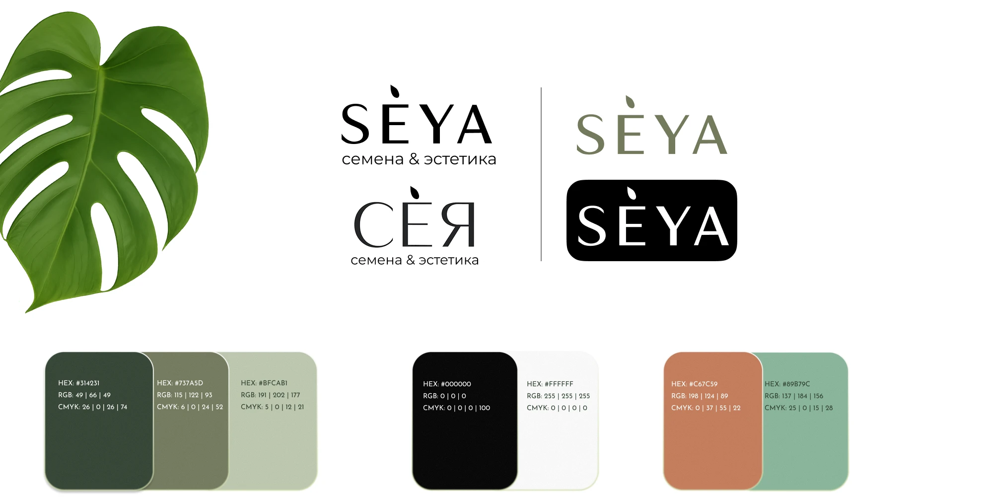 SEYA| концепт эко бренда — Изображение №2 — Брендинг на Dprofile