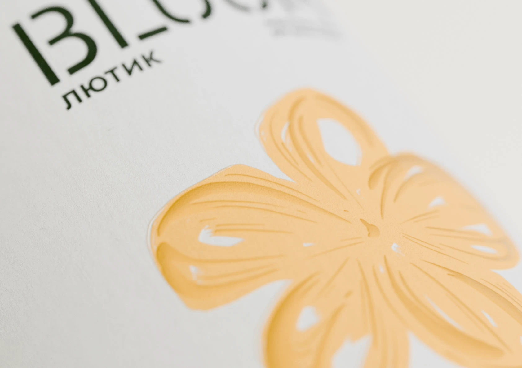 Bloom — краска для дома и сада — Изображение №5 — Брендинг, Иллюстрация на Dprofile