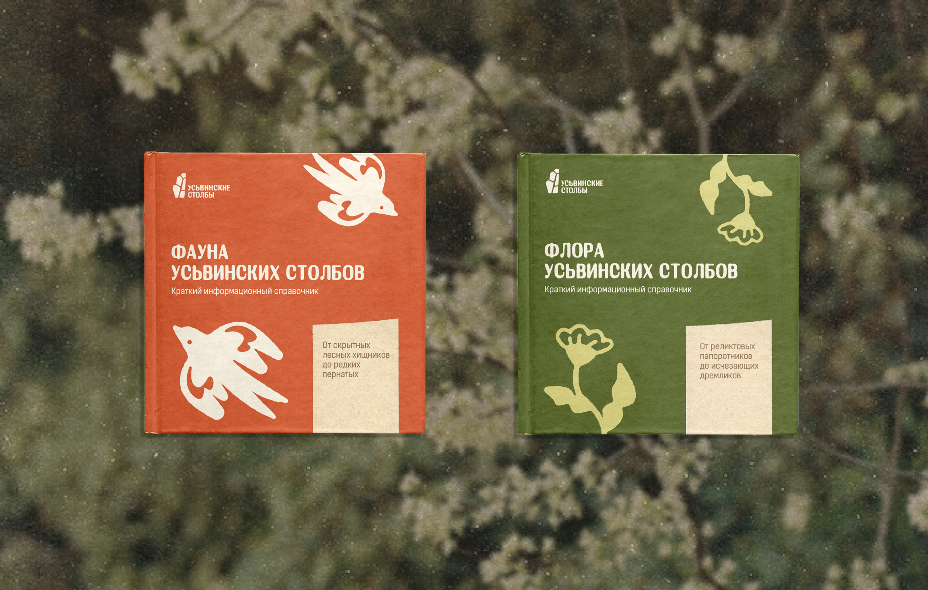 Айдентика природного памятника «Усьвинские столбы» — Изображение №5 — Брендинг на Dprofile