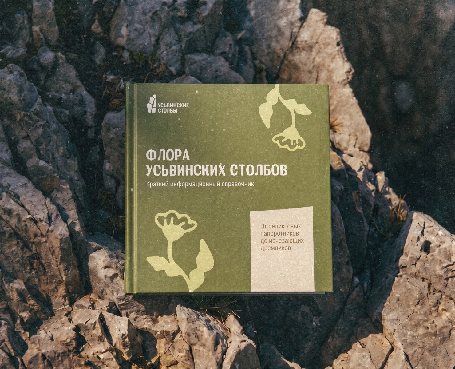 Айдентика природного памятника «Усьвинские столбы» — Брендинг на Dprofile