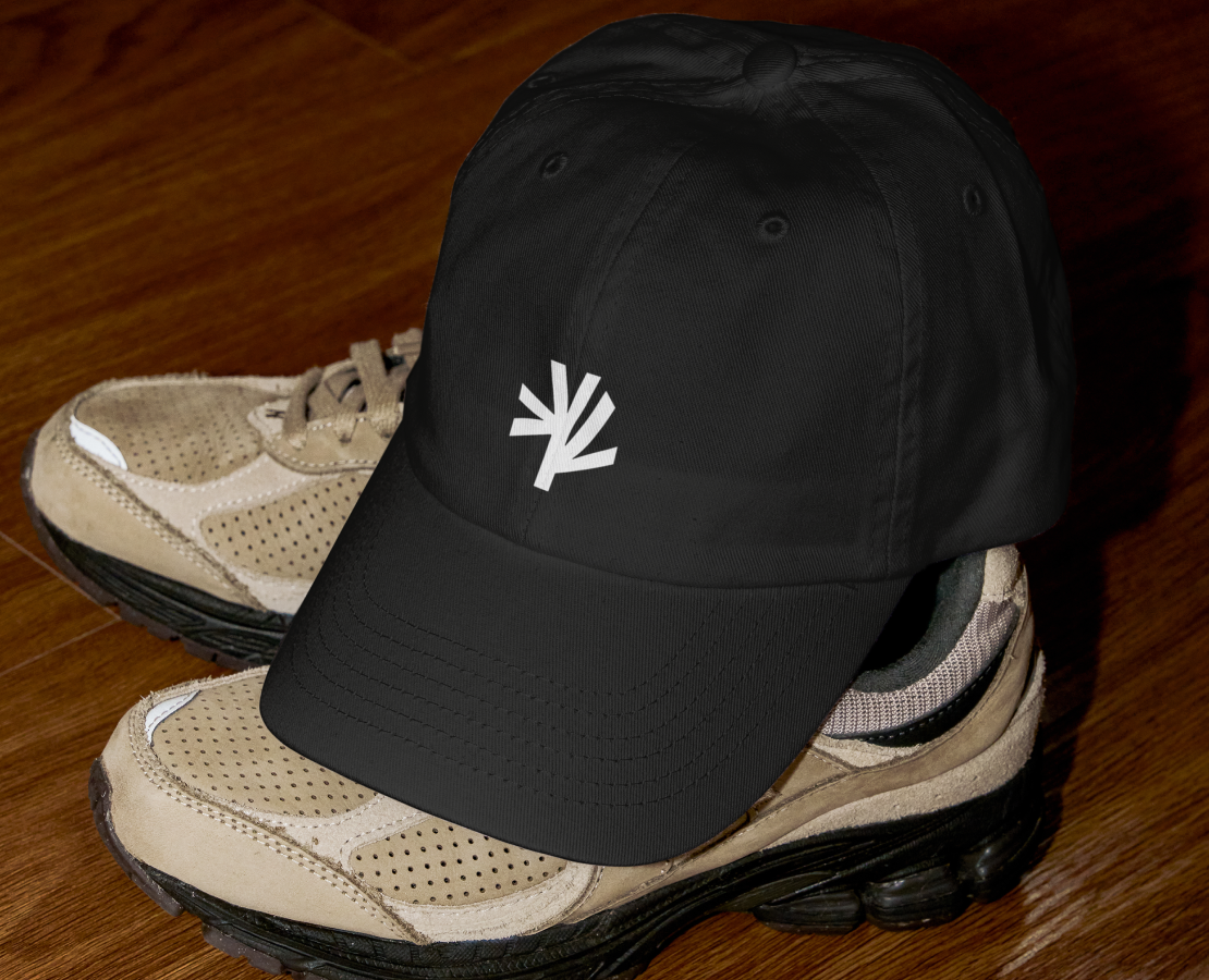 Dillivr — Брендинг, Графика на Dprofile