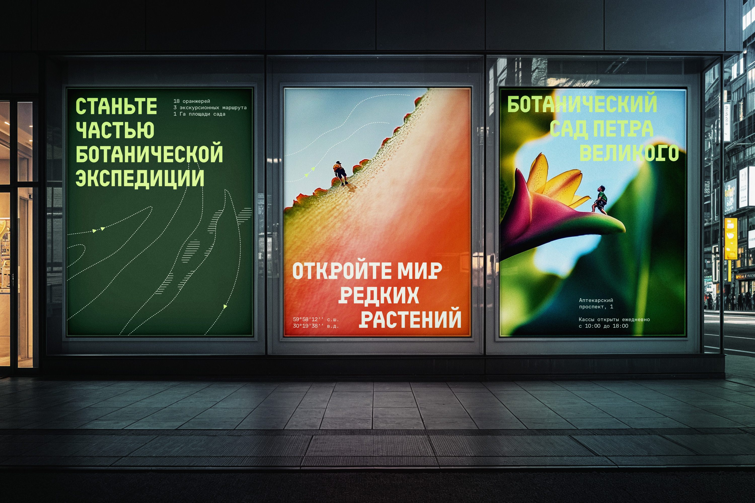 Ботанический сад Петра Великого — Изображение №3 — Брендинг, Графика на Dprofile