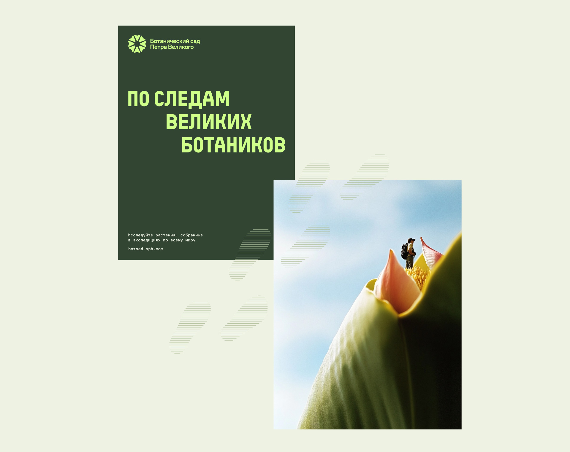 Ботанический сад Петра Великого — Изображение №4 — Брендинг, Графика на Dprofile