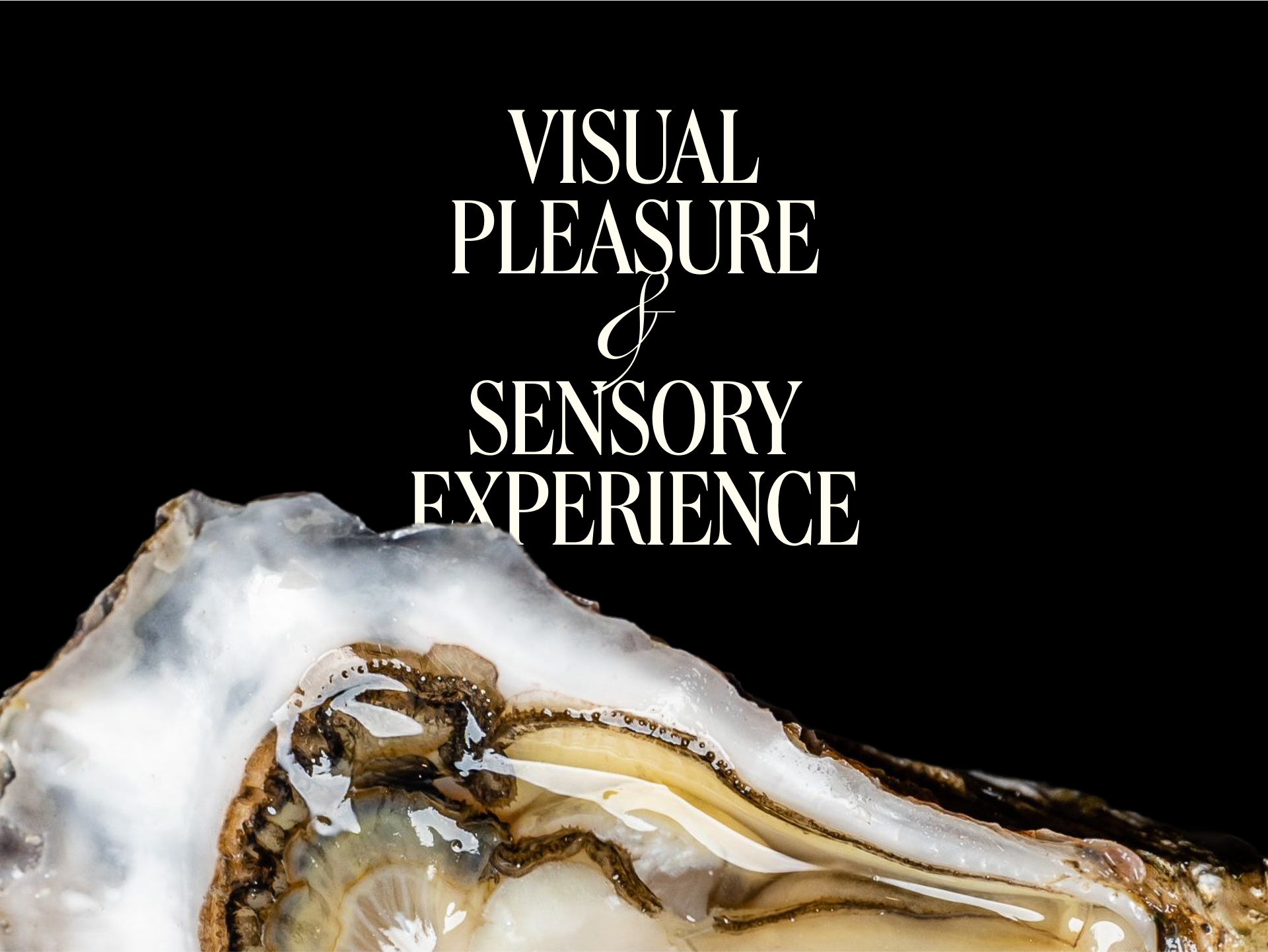 Bubbles & Lobster — Изображение №12 — Брендинг на Dprofile