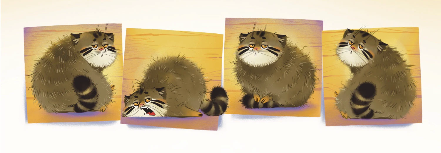 Почему сердит манул? — Изображение №2 — Иллюстрация, Графика на Dprofile