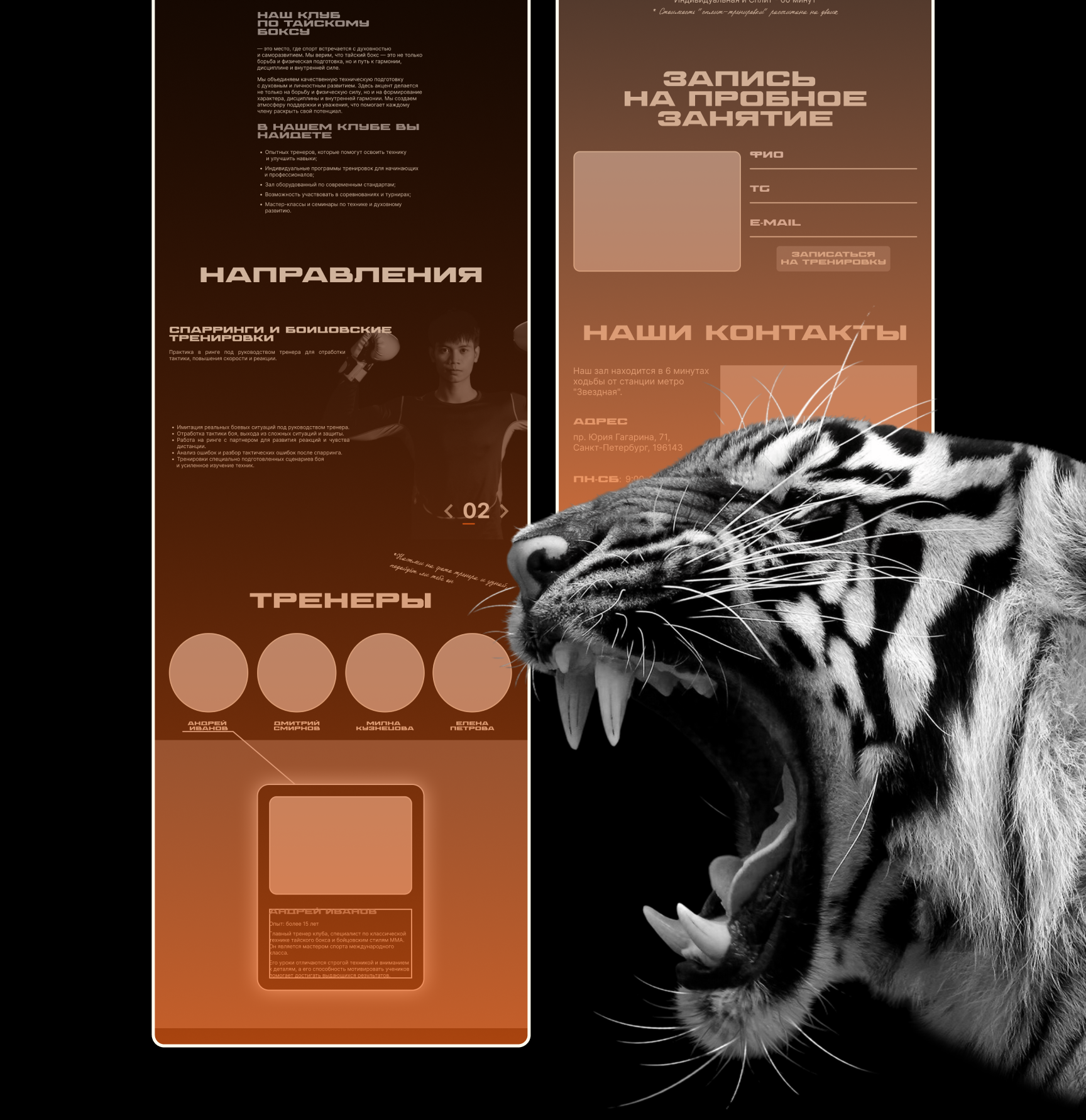 Лендинг. TigerClub — Изображение №5 — Интерфейсы на Dprofile