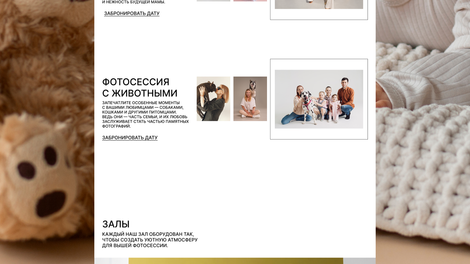 Вспышка. Фотостудия — Изображение №12 — Интерфейсы, Брендинг на Dprofile