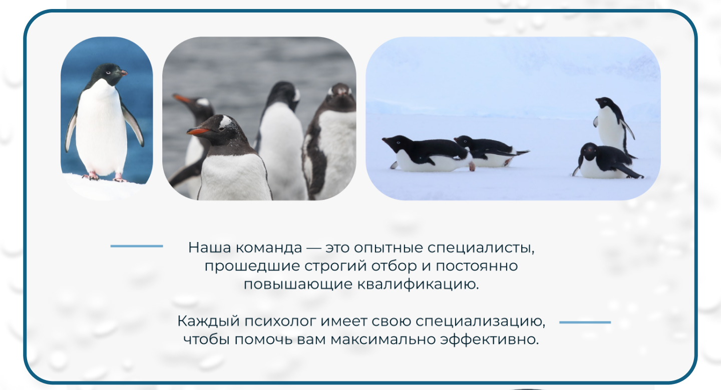 pin(NO)one. Сайт для психологической поддержки — Изображение №16 — Интерфейсы, Брендинг на Dprofile