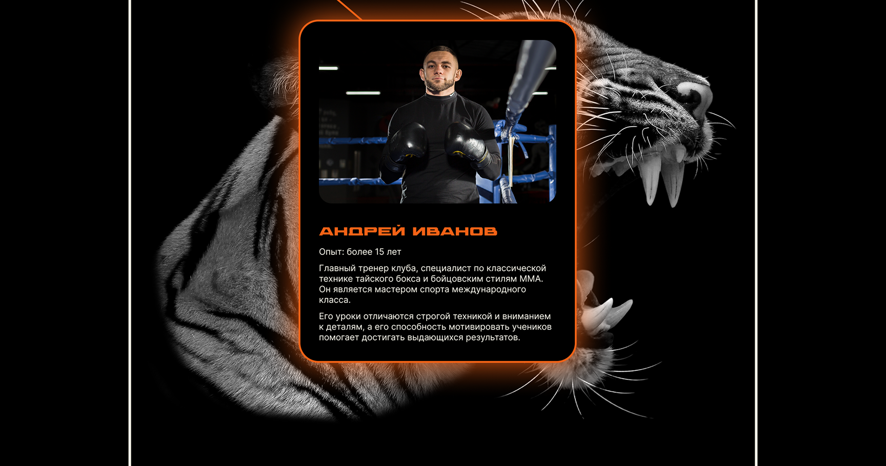 Лендинг. TigerClub — Изображение №9 — Интерфейсы на Dprofile