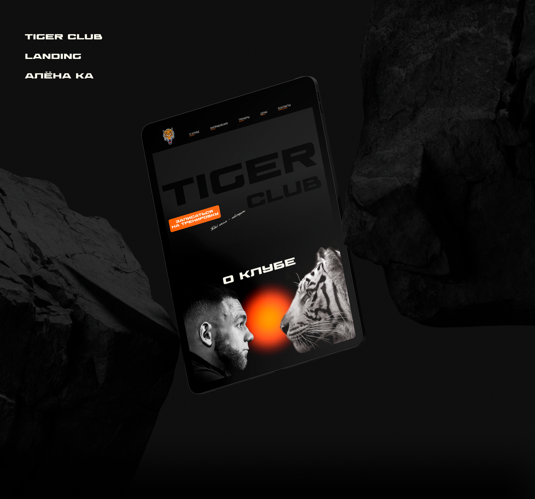 Лендинг. TigerClub — Изображение №1 — Интерфейсы на Dprofile