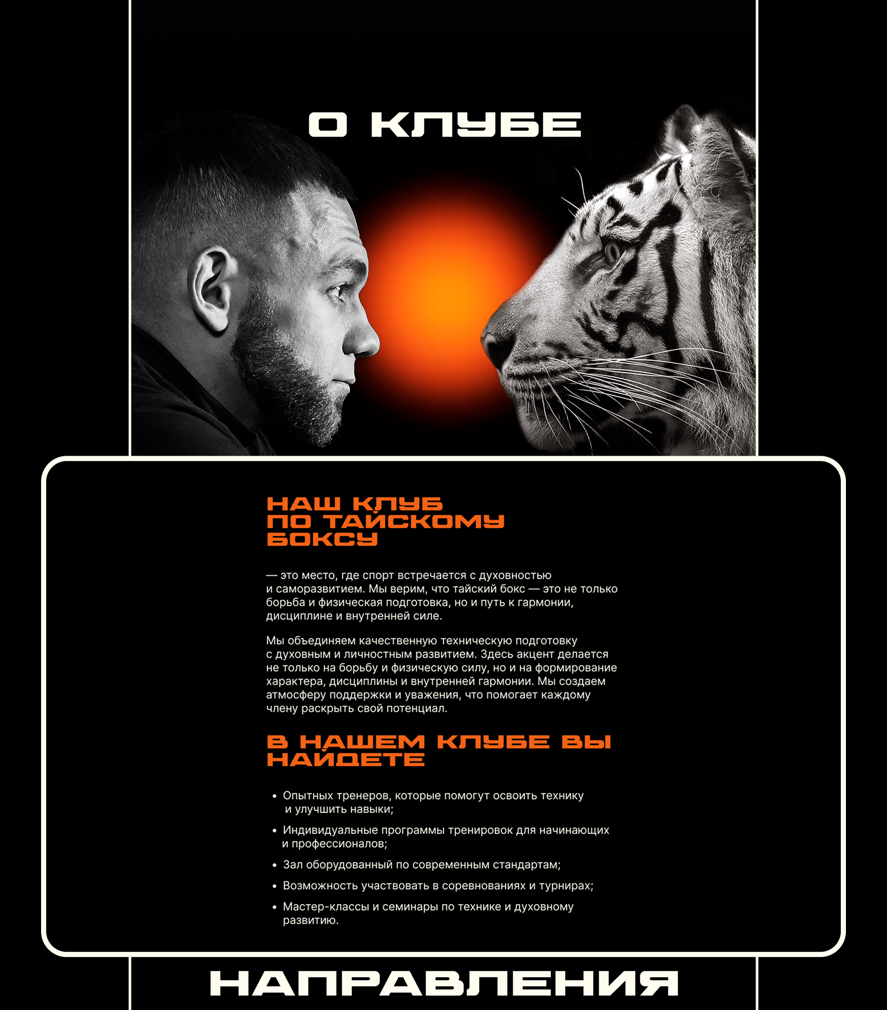 Лендинг. TigerClub — Изображение №7 — Интерфейсы на Dprofile