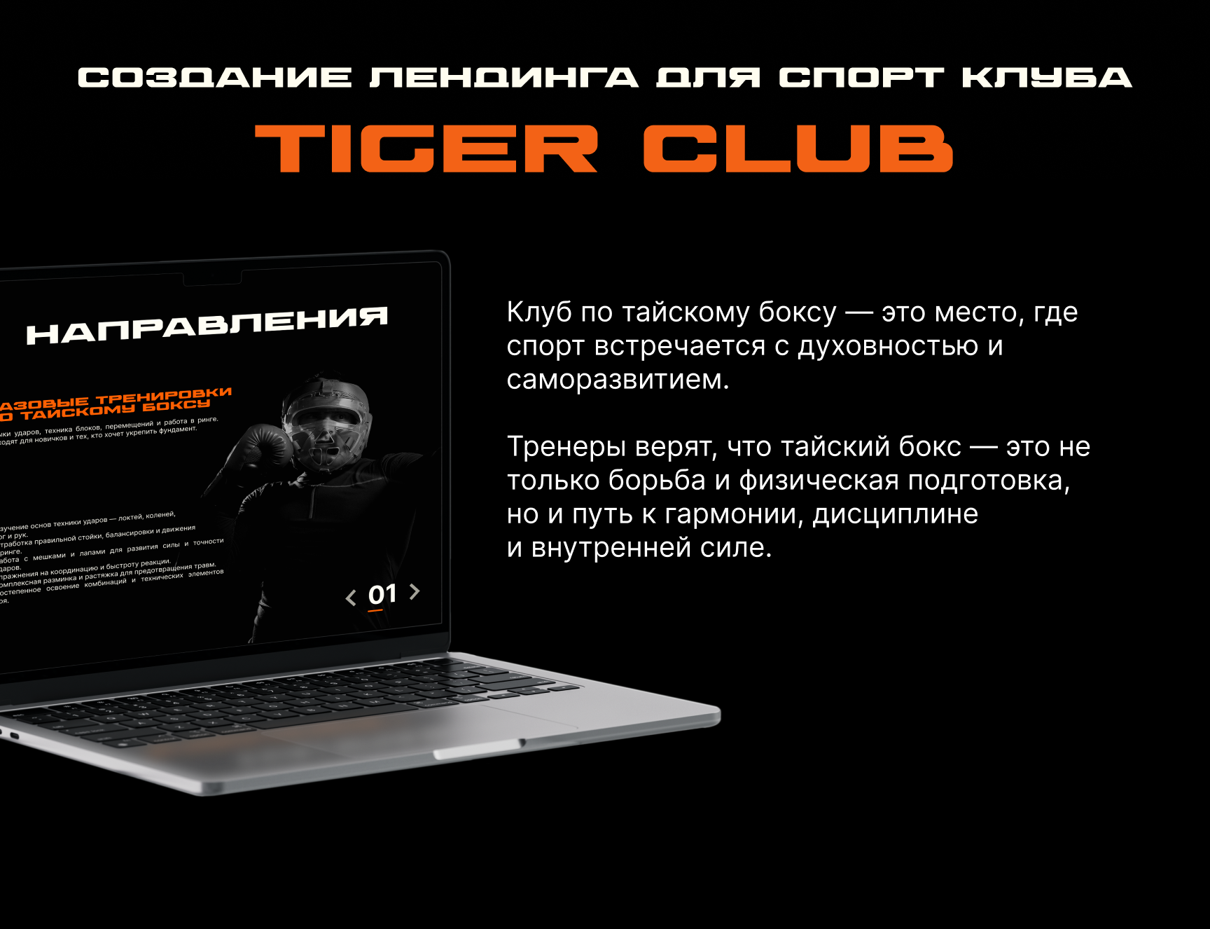 Лендинг. TigerClub — Изображение №2 — Интерфейсы на Dprofile