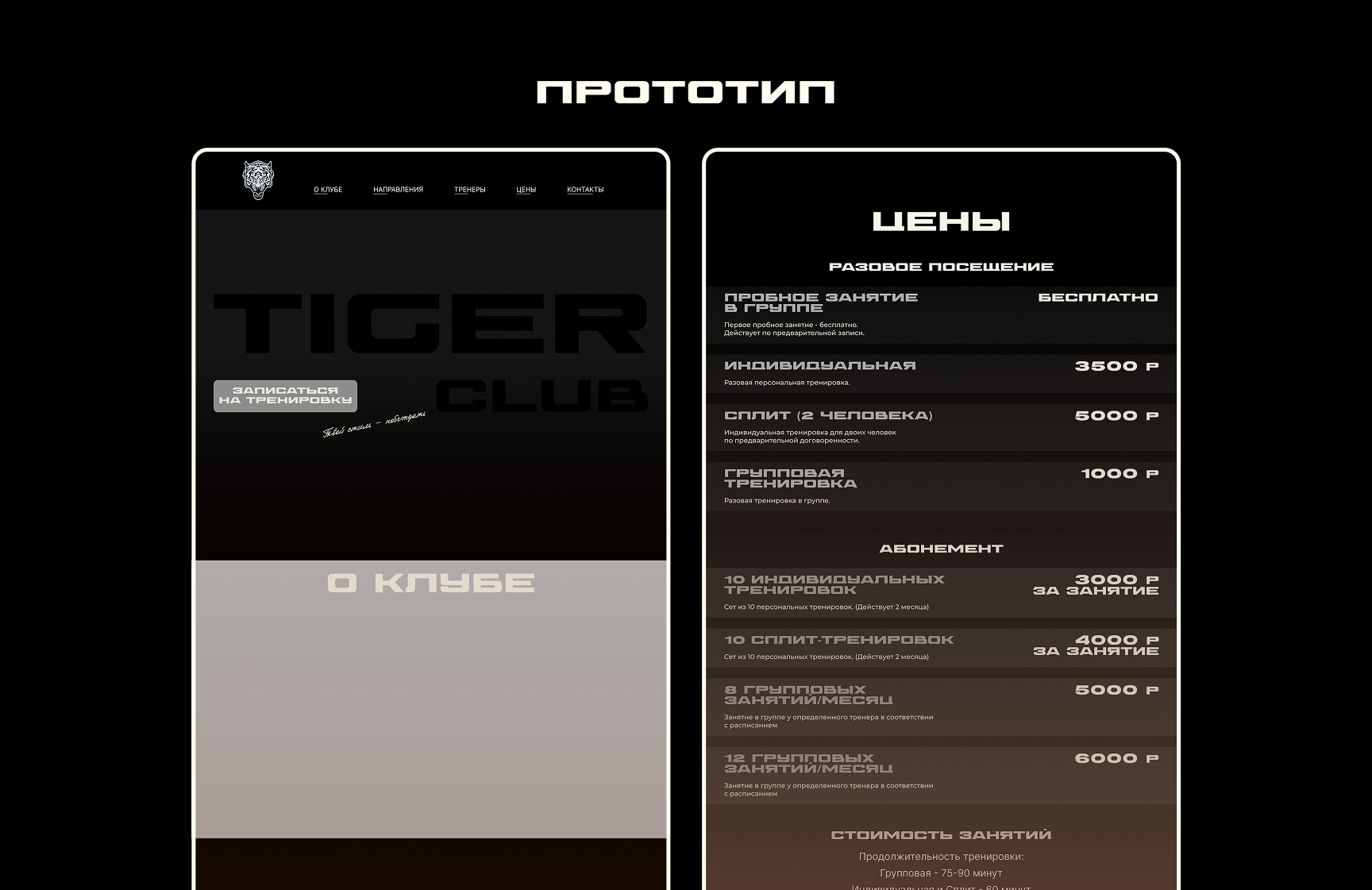 Лендинг. TigerClub — Изображение №4 — Интерфейсы на Dprofile
