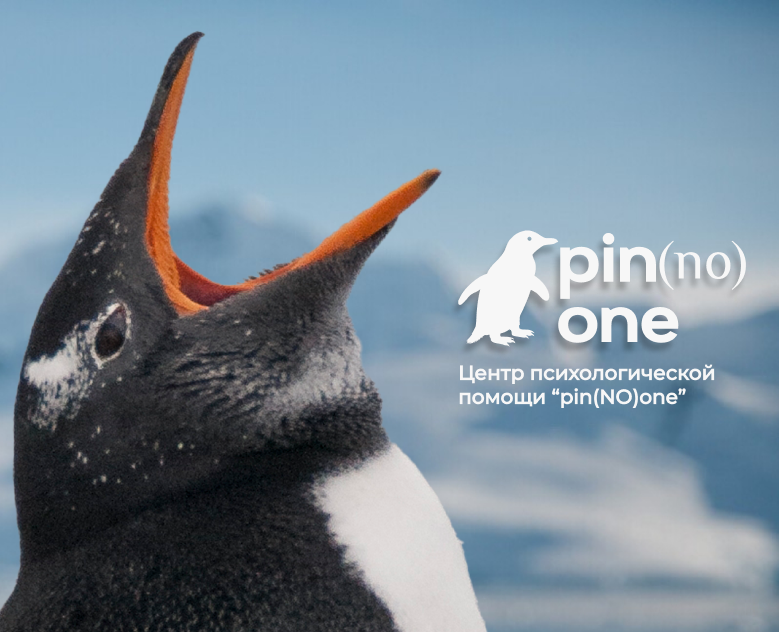 pin(NO)one. Сайт для психологической поддержки — Интерфейсы, Брендинг на Dprofile