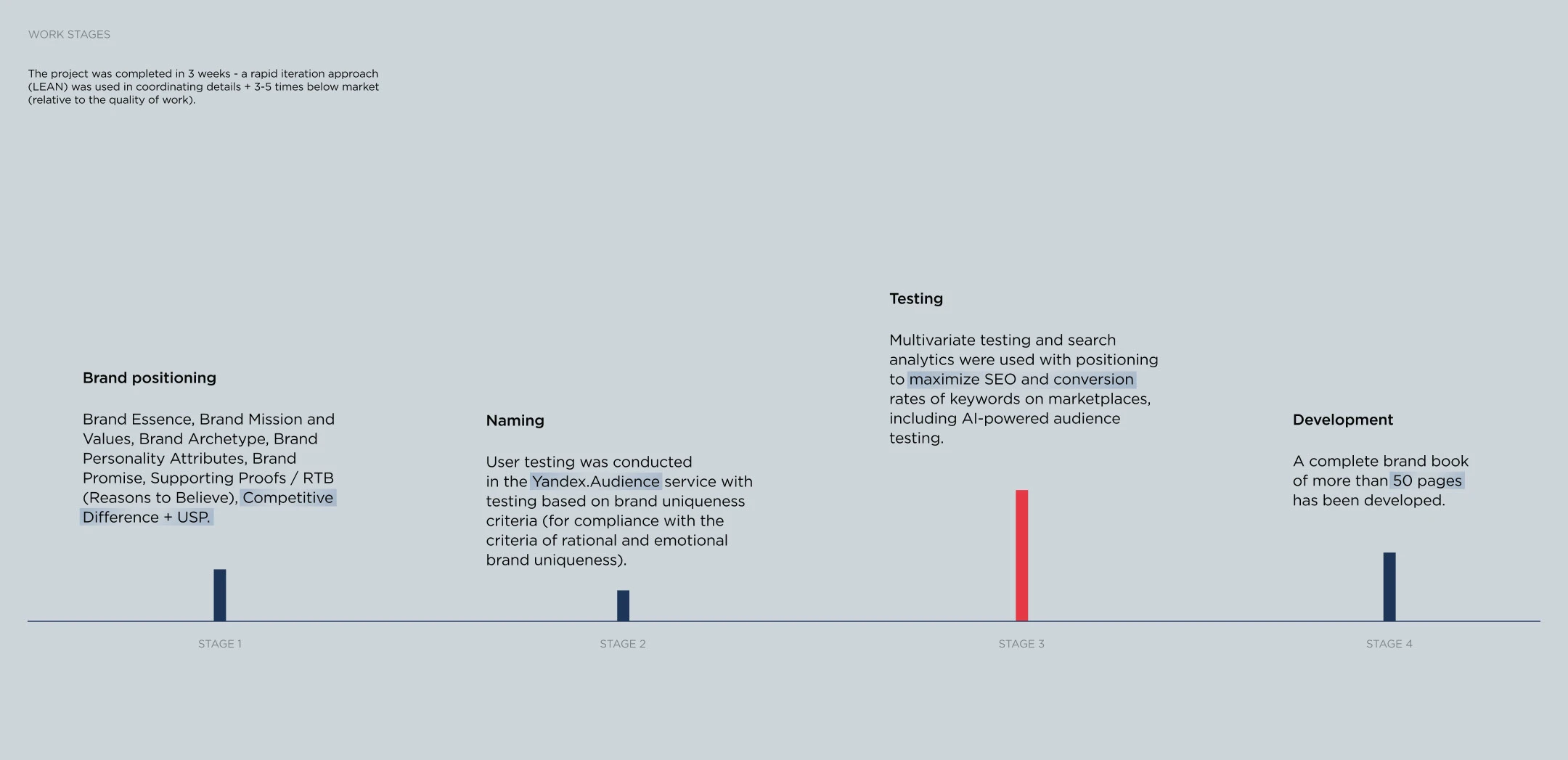 Branding tubing SNEG: logo, branding — Изображение №9 — Брендинг на Dprofile
