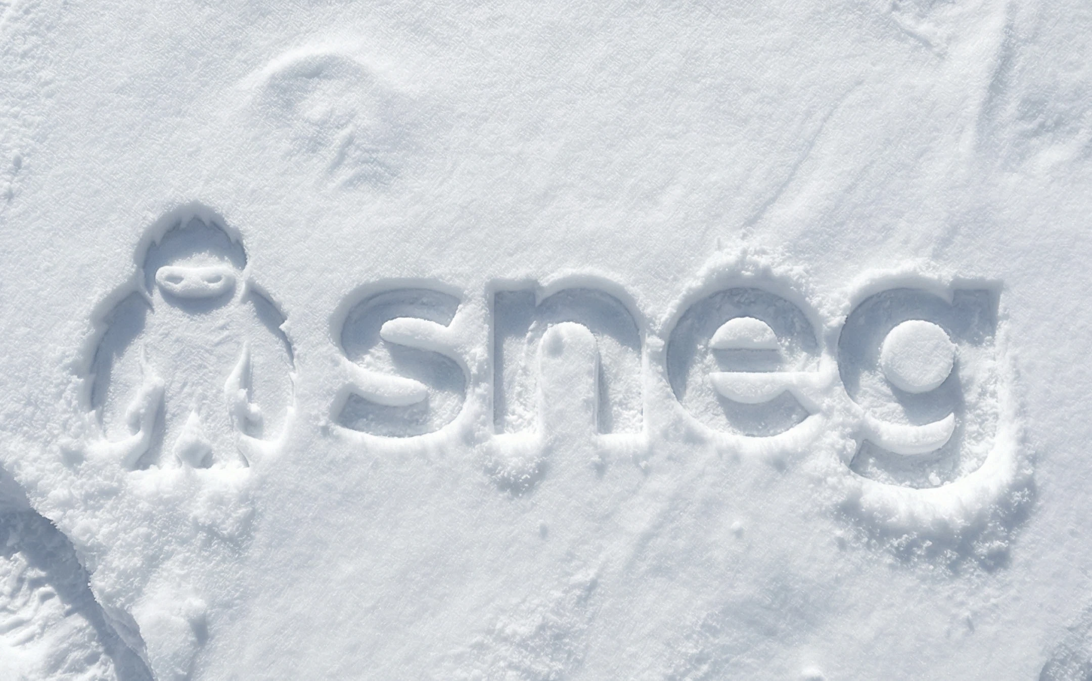 Branding tubing SNEG: logo, branding — Изображение №8 — Брендинг на Dprofile