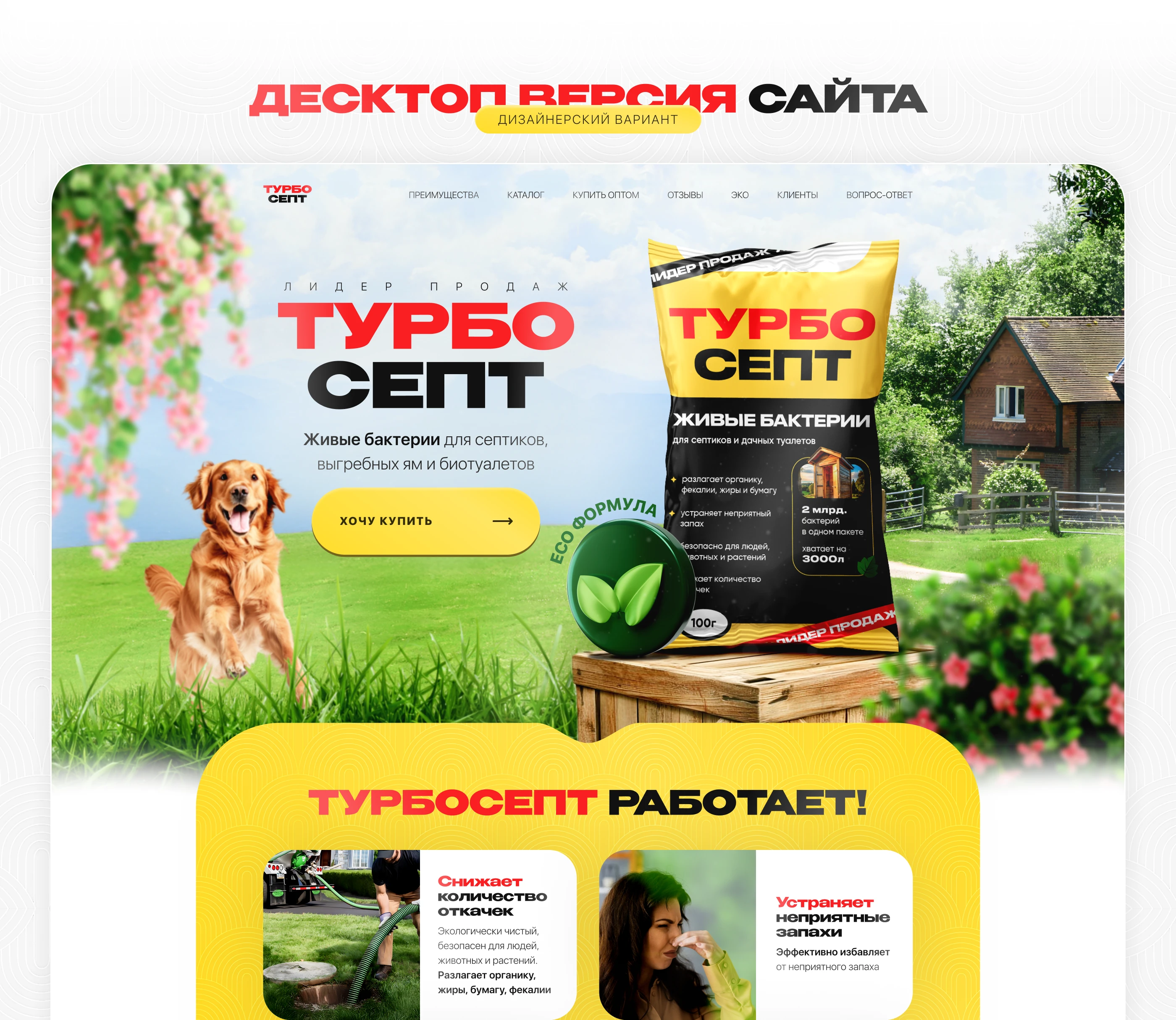 Лендинг | Средство очистки — Изображение №4 — Интерфейсы, Брендинг на Dprofile