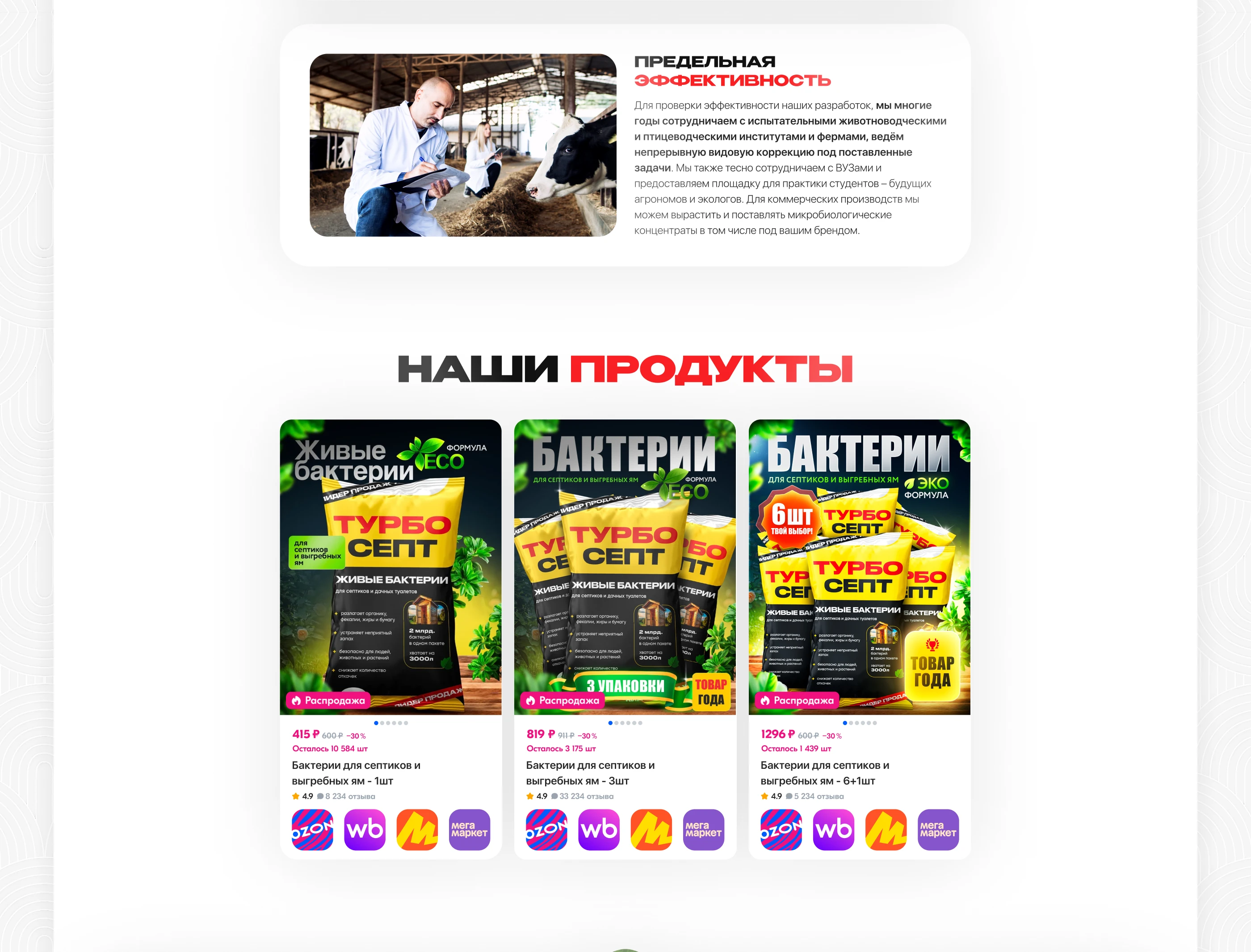 Лендинг | Средство очистки — Изображение №6 — Интерфейсы, Брендинг на Dprofile