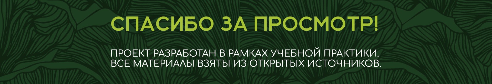 Брендбук для студии красоты "Кикимора" — Изображение №2 — Брендинг, Графика на Dprofile