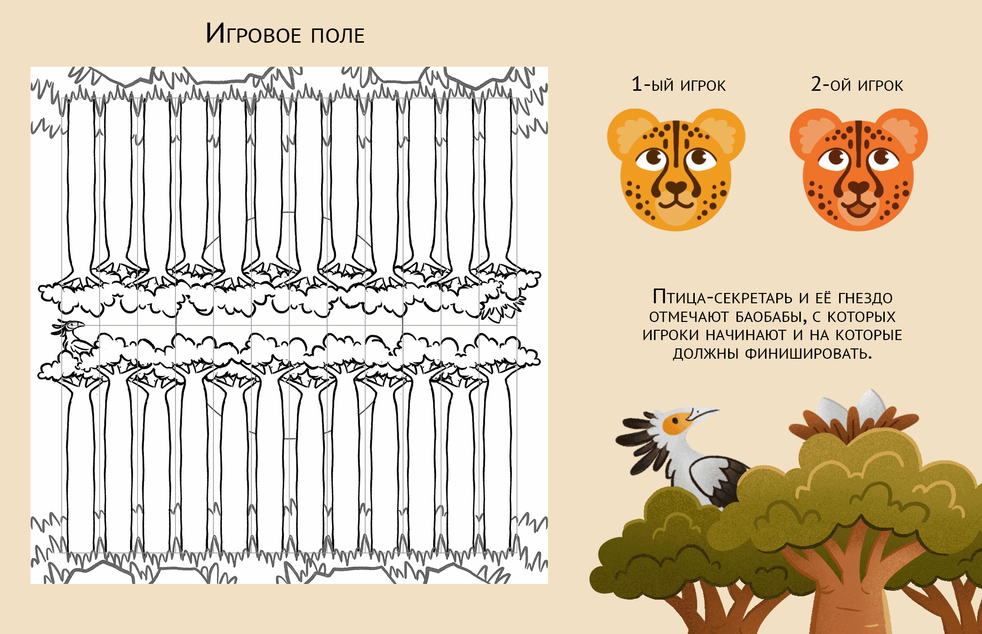 Настольные игры «Шашки-лягушки» и «Нарды-гепарды» — Изображение №13 — Иллюстрация, Промдизайн на Dprofile