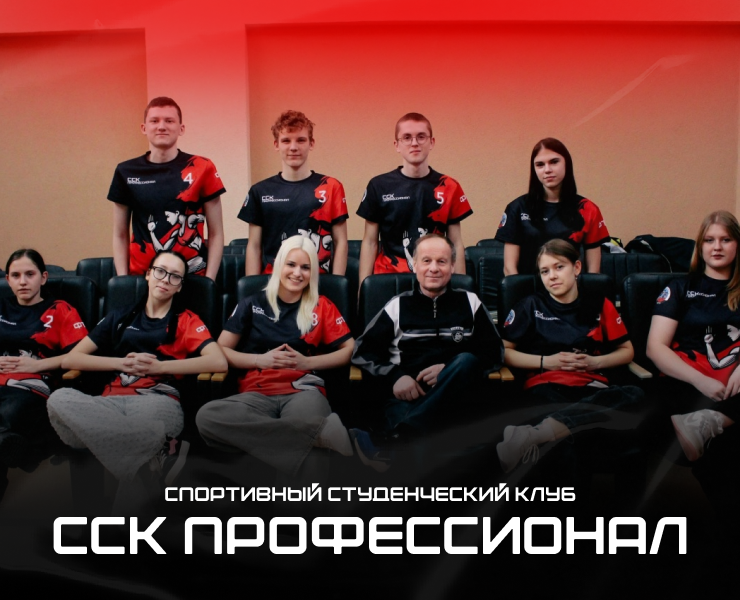 Фирменный стиль спортивного студенческого клуба ССК "Профессионал" — Интерфейсы, Брендинг на Dprofile