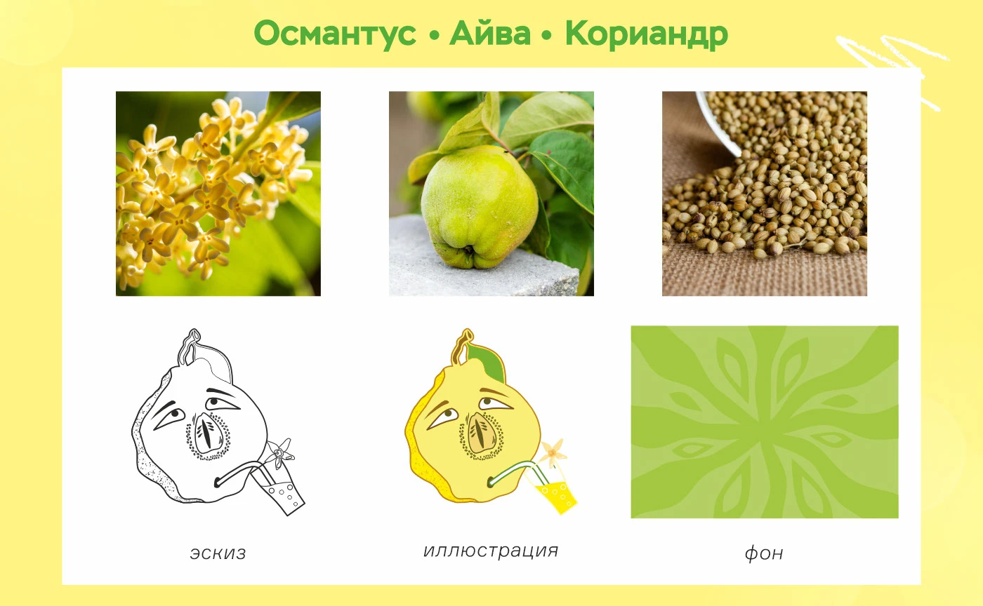 Дизайн упаковки лимонадов — Изображение №7 — Брендинг, Иллюстрация на Dprofile