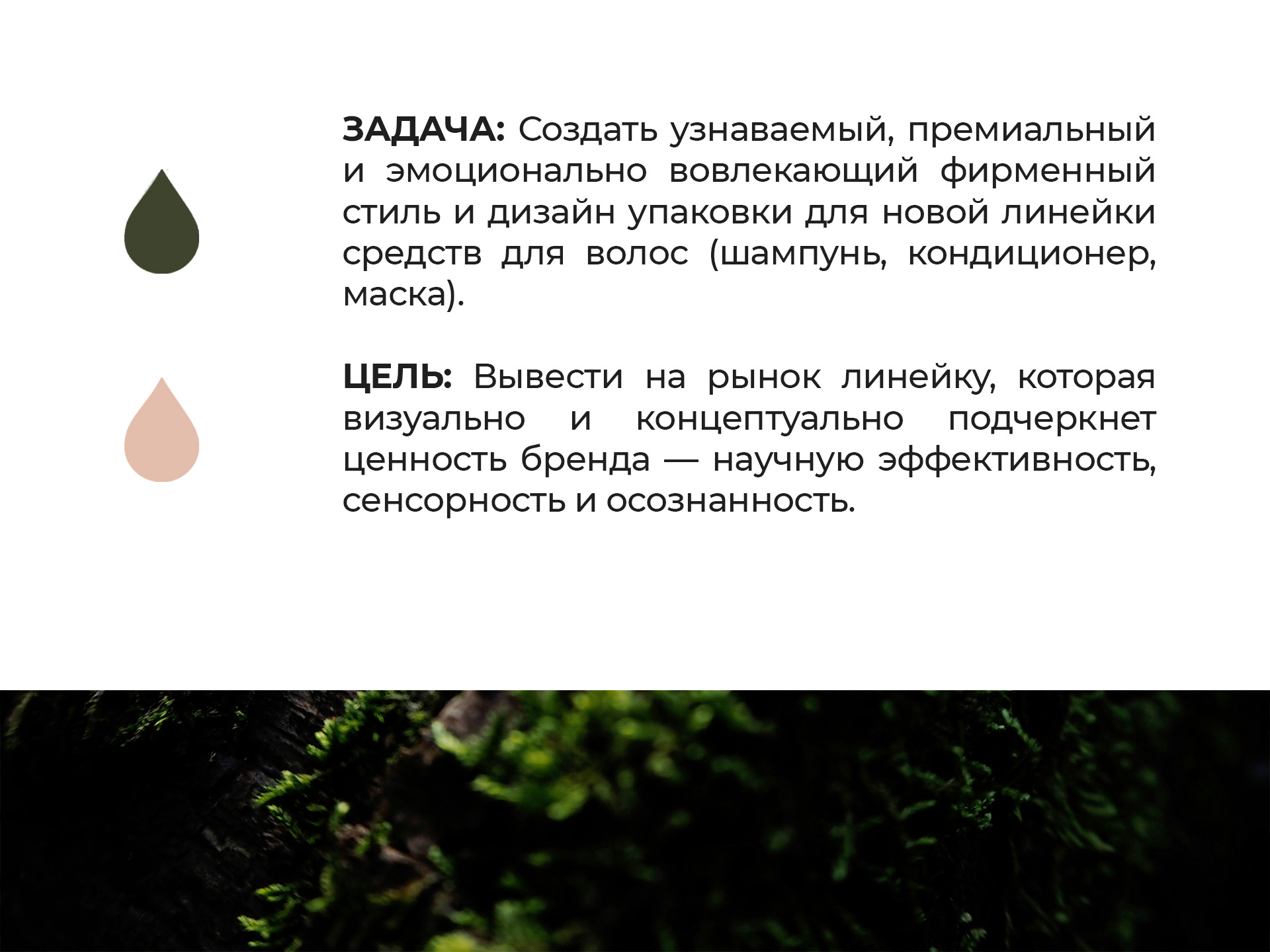 Логотип для натуральной косметики — Изображение №2 — Брендинг на Dprofile