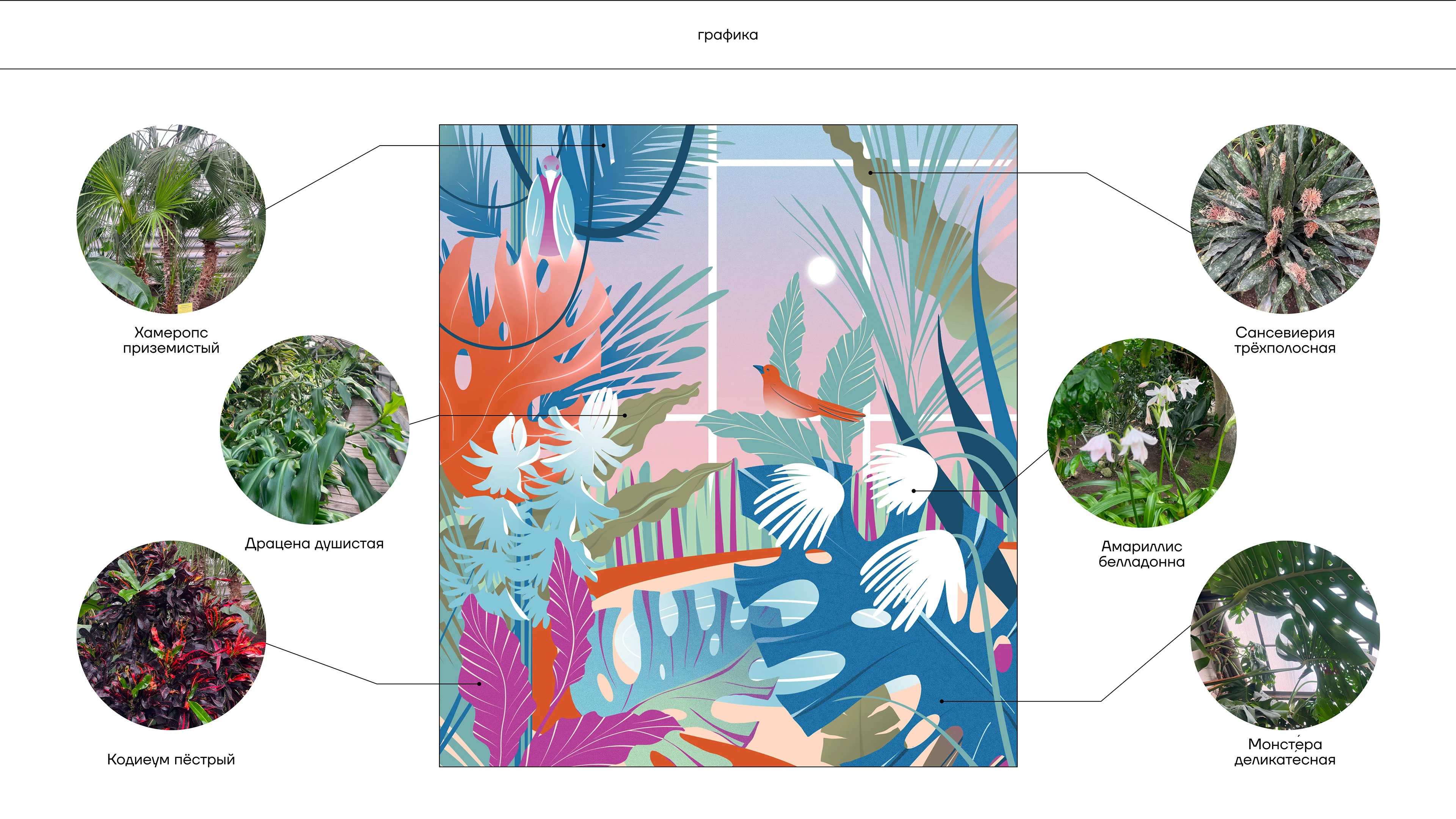 Фирменный стиль (ребрендинг) ботанического сада — Изображение №7 — Брендинг, Иллюстрация на Dprofile