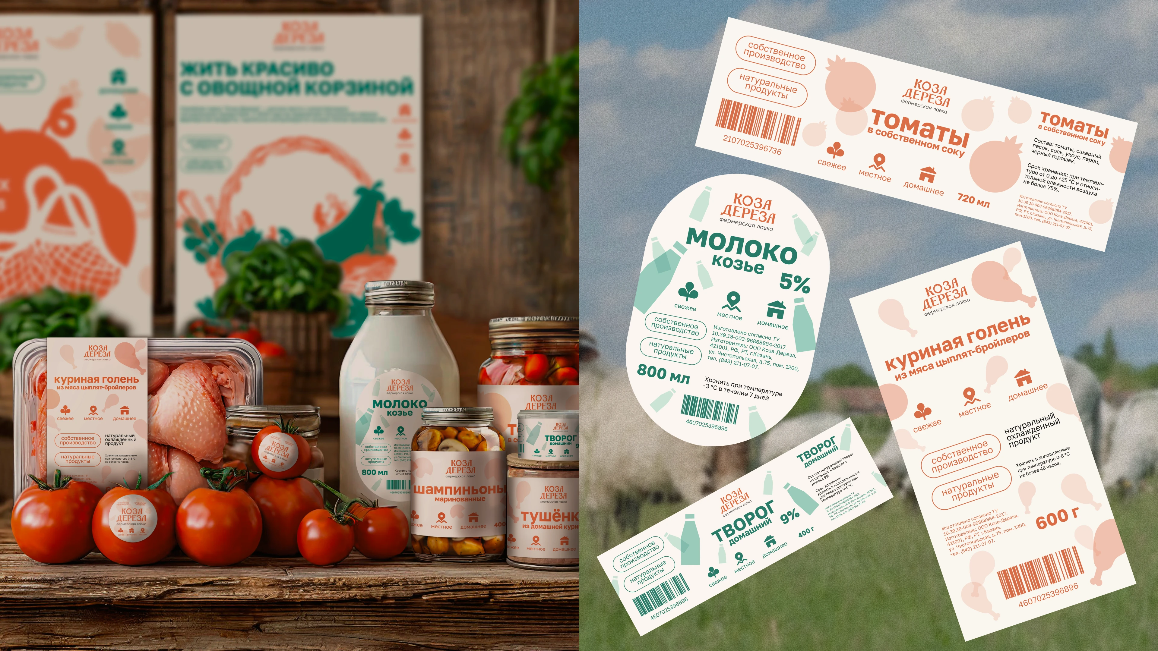Graphic Design & Illustration Portfolio 2026 Портфолио граф… — Изображение №15 — Брендинг, Иллюстрация на Dprofile
