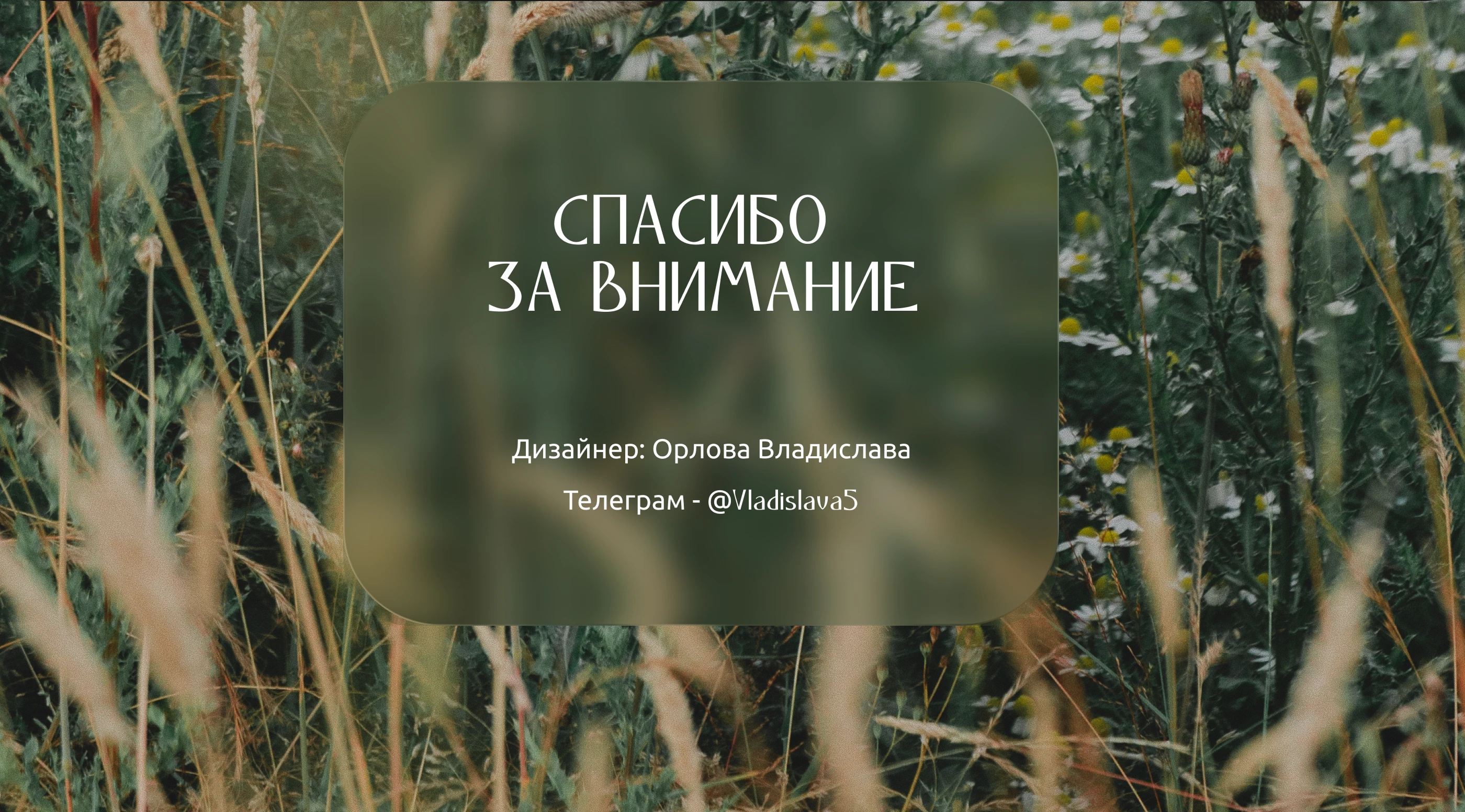 фирменный стиль|логотип|гастро-бар — Изображение №23 — Брендинг на Dprofile