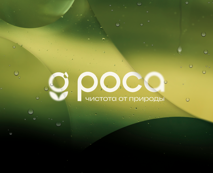 Брендинг для службы премиум-клининга "Роса" — Брендинг на Dprofile
