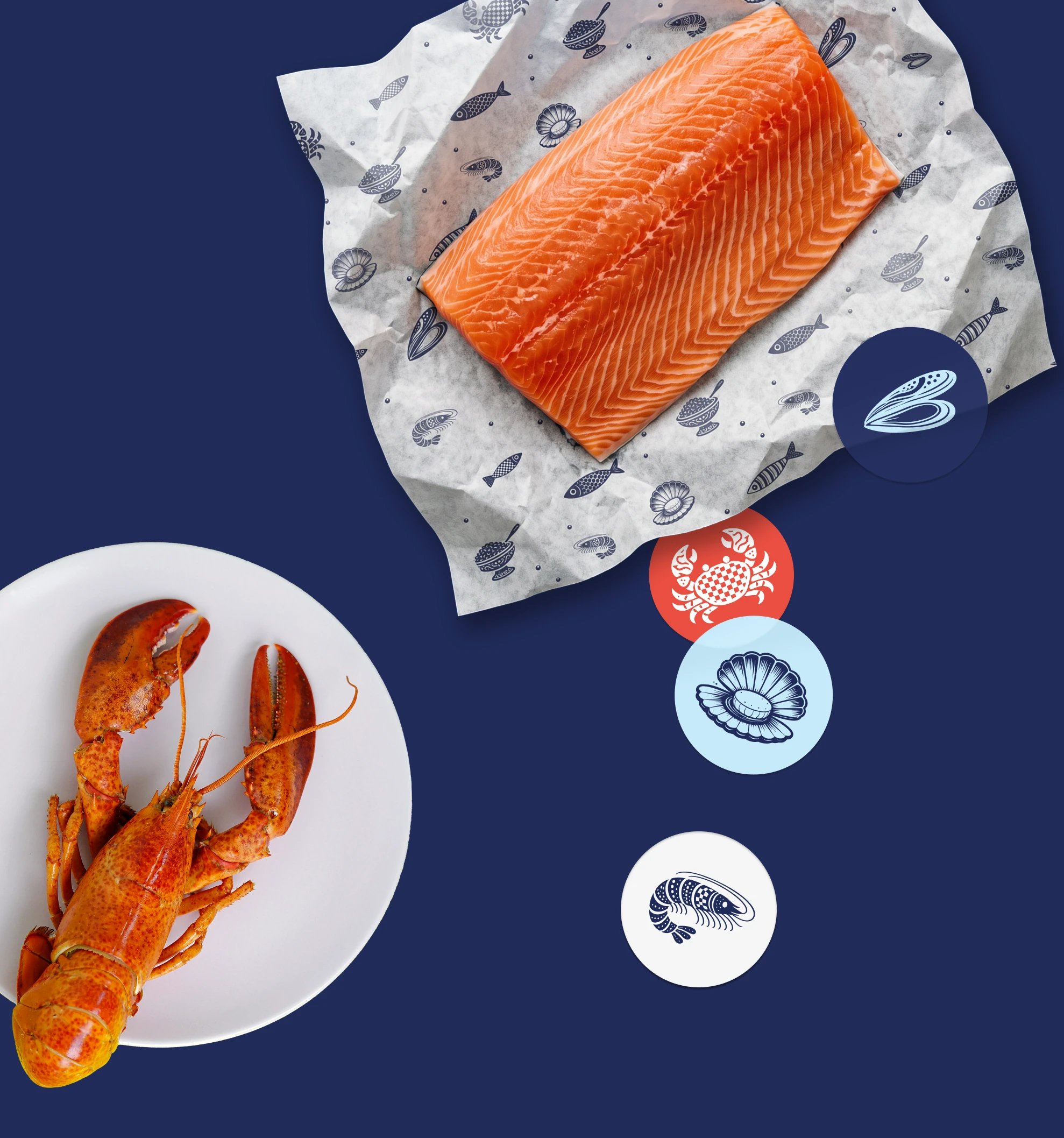Логотип и фирменный стиль магазина икры и морепродуктов — Изображение №14 — Брендинг на Dprofile
