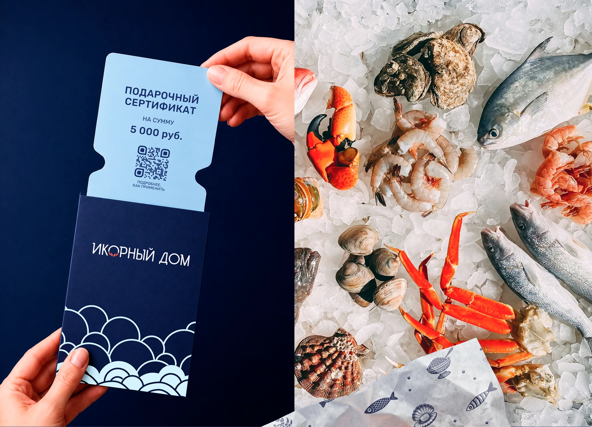 Логотип и фирменный стиль магазина икры и морепродуктов — Изображение №13 — Брендинг на Dprofile