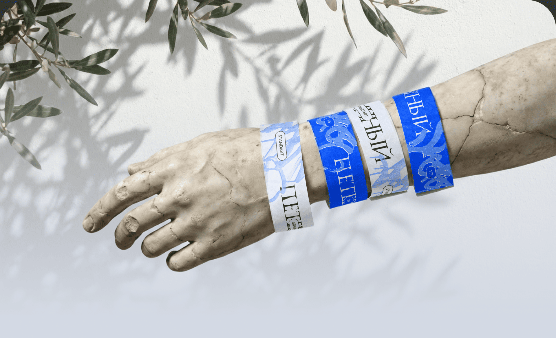 Айдентика философского клуба "Античный Петербург" — Изображение №17 — Брендинг, Графика на Dprofile