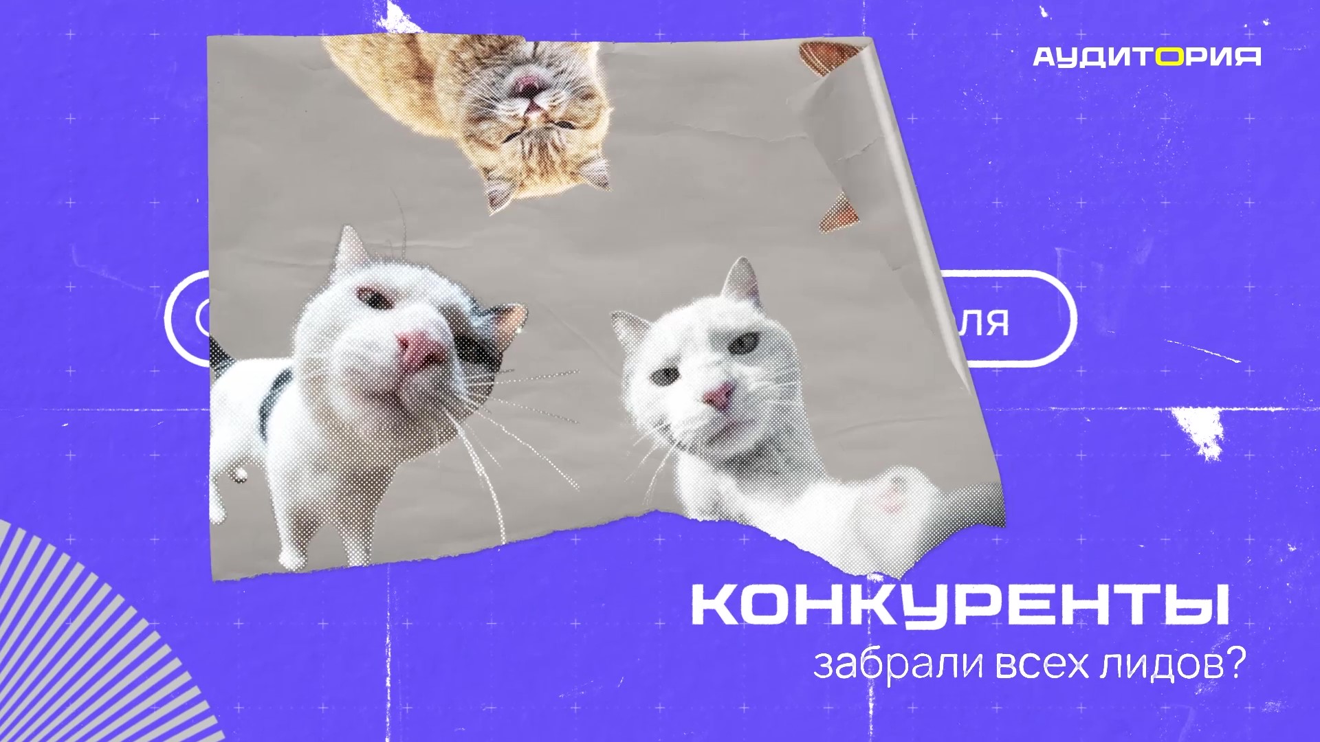 Коллажная анимация для рекламы — Изображение №3 — Анимация на Dprofile