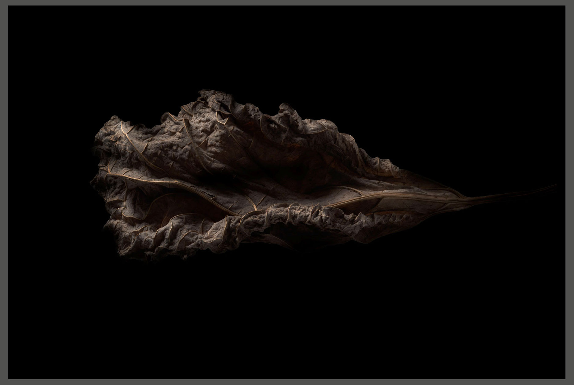 Осенние зарисовки — Изображение №3 — Иллюстрация, Графика на Dprofile