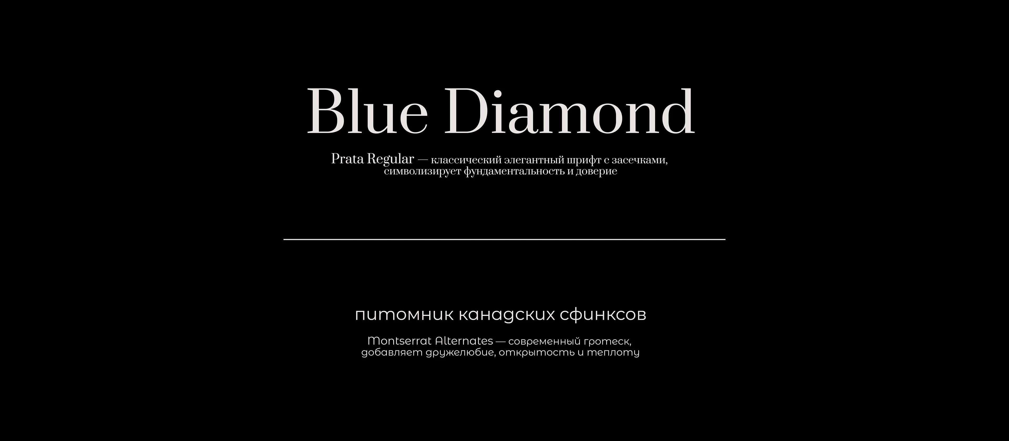 Логотип для питомника канадских сфинксов — Изображение №6 — Брендинг на Dprofile