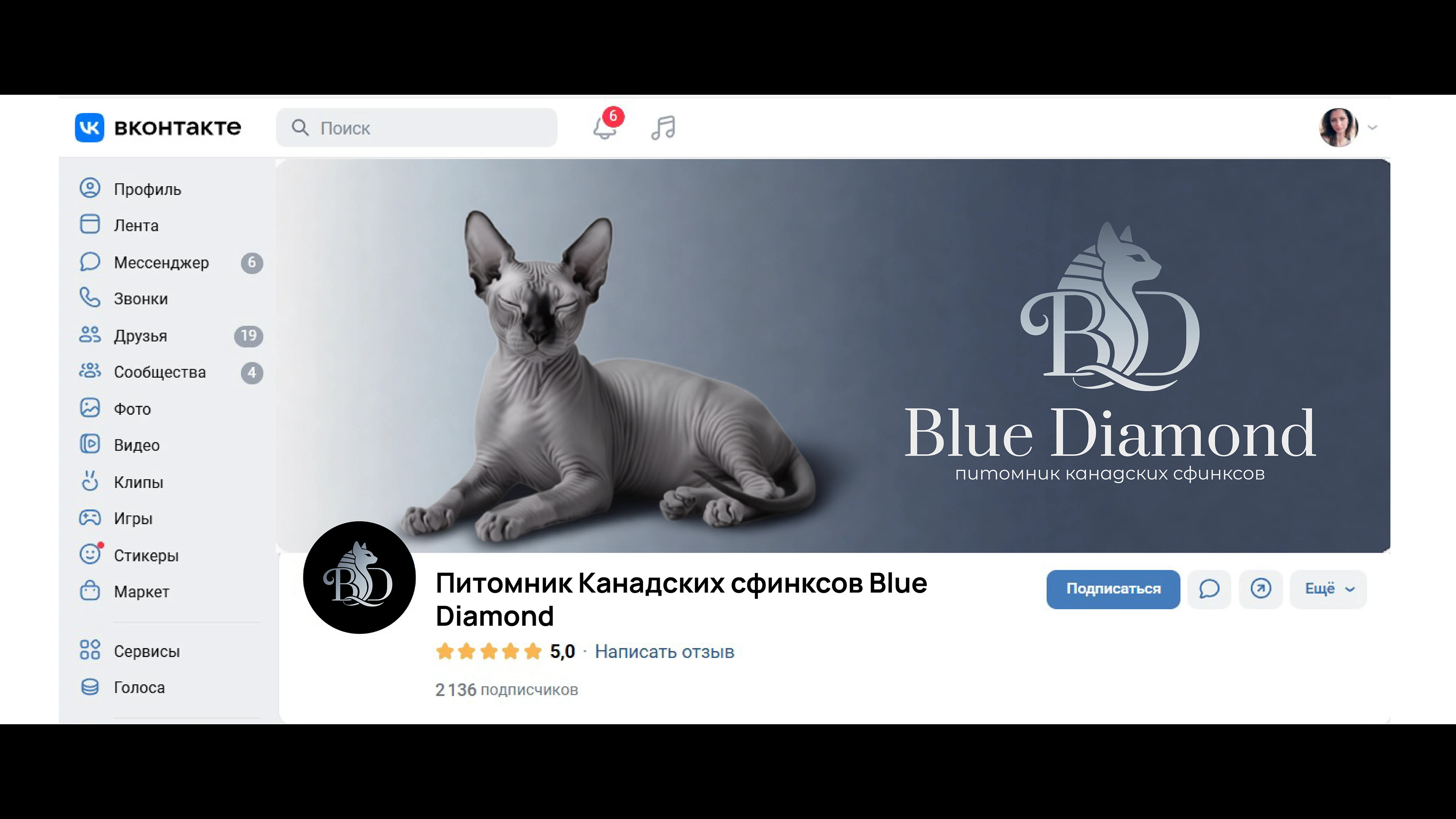 Логотип для питомника канадских сфинксов — Изображение №12 — Брендинг на Dprofile