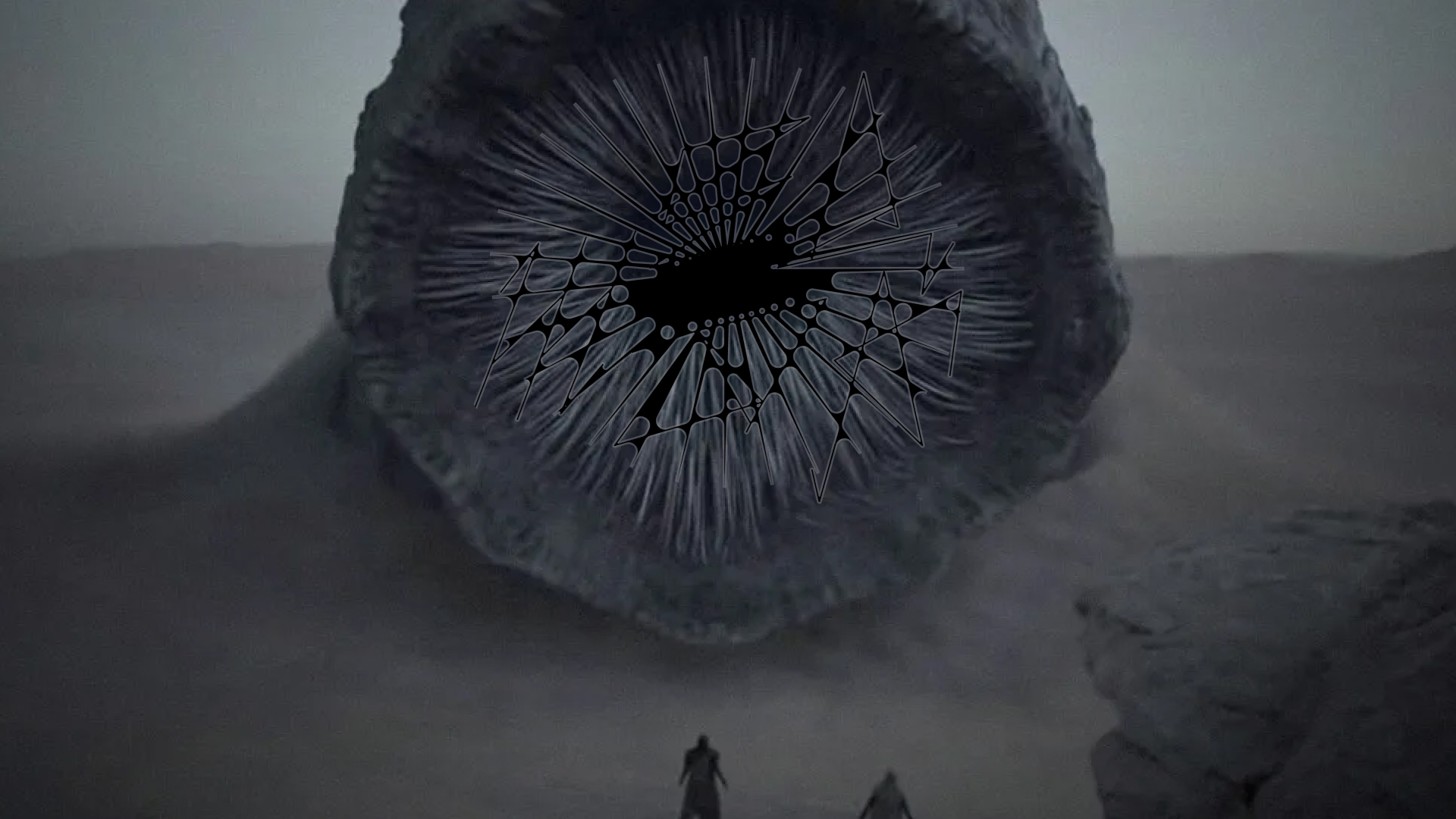 Жеода | Леттеринг — Изображение №38 — Брендинг, Графика на Dprofile