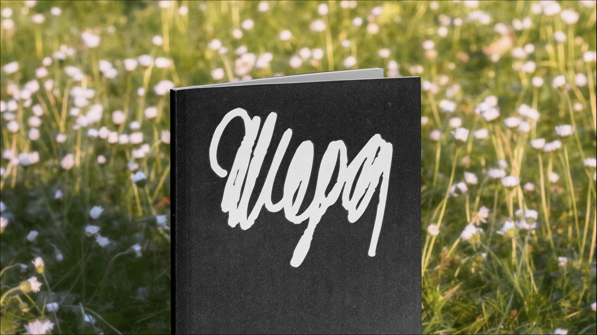 Жеода | Леттеринг — Изображение №9 — Брендинг, Графика на Dprofile