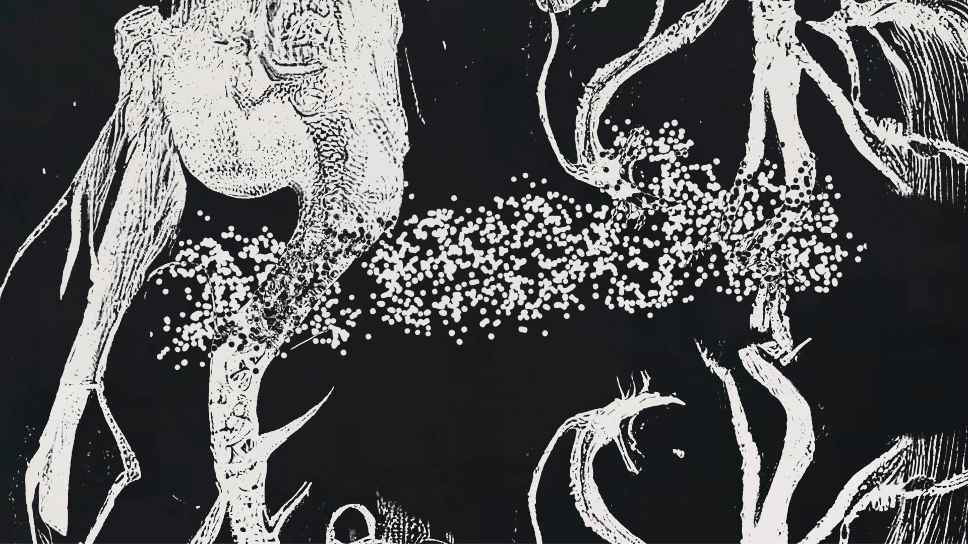 Жеода | Леттеринг — Изображение №28 — Брендинг, Графика на Dprofile