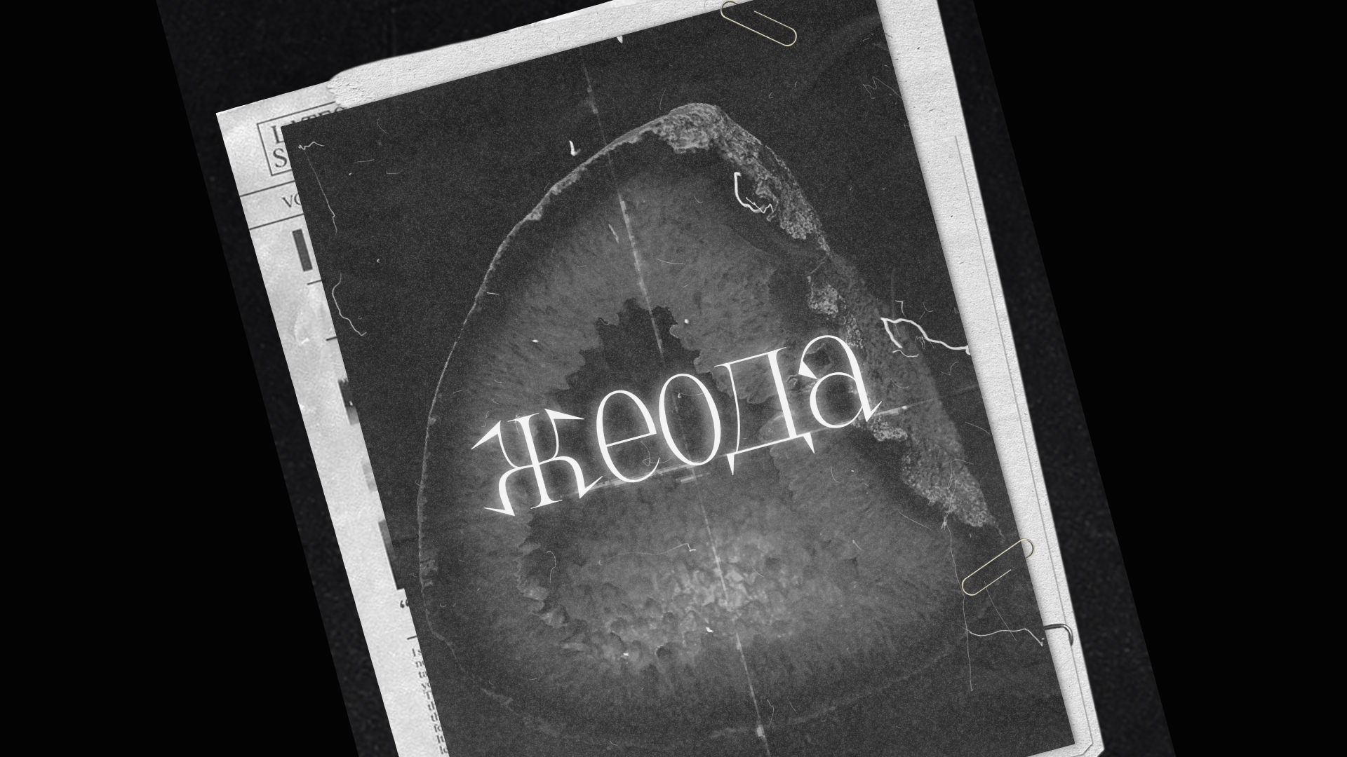 Жеода | Леттеринг — Изображение №5 — Брендинг, Графика на Dprofile